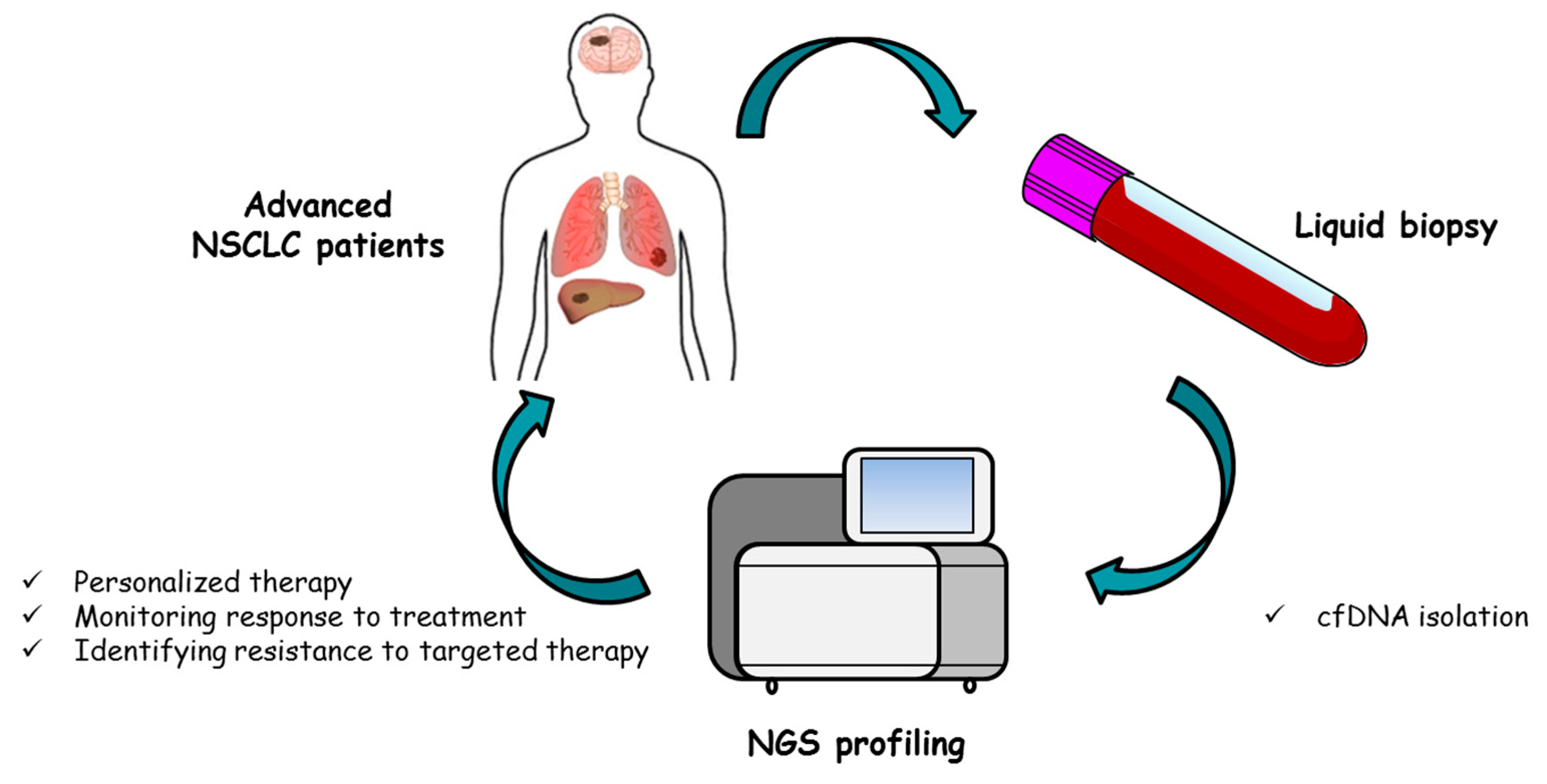 Cancers 12 03804 g002 Cancers 12 03804 g002