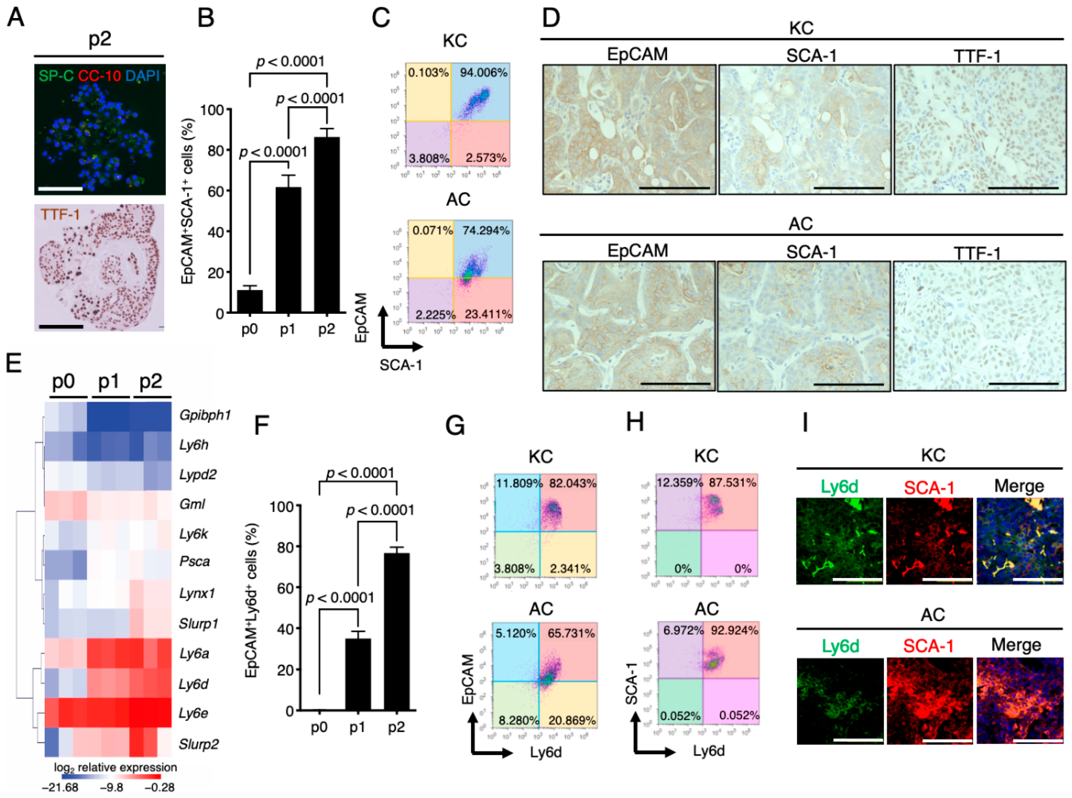 Cancers 12 03805 g004 Cancers 12 03805 g004