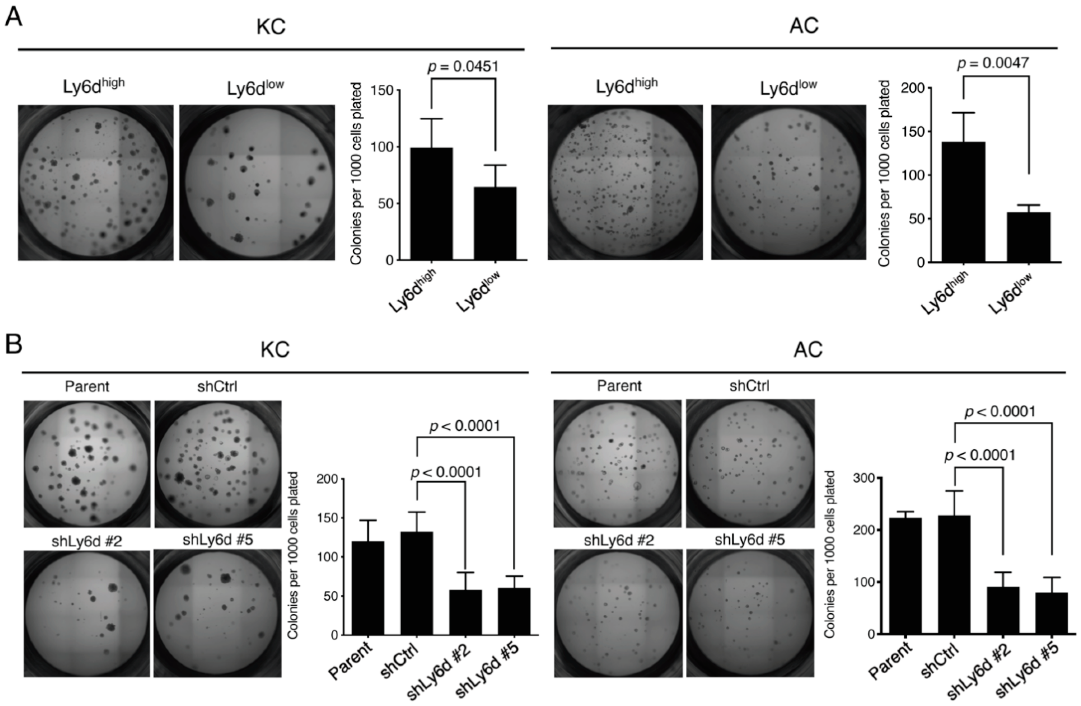 Cancers 12 03805 g005 Cancers 12 03805 g005