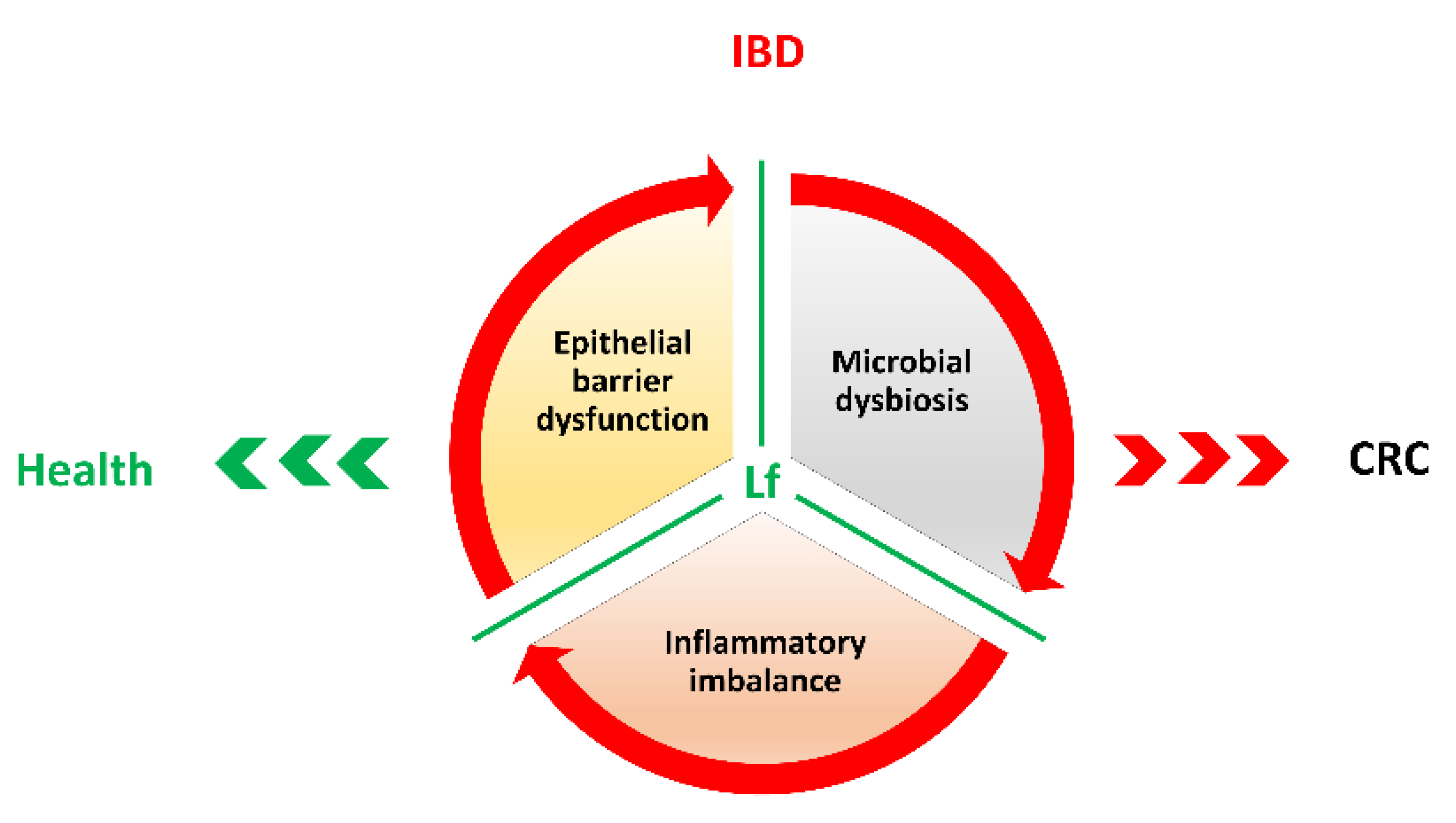 Cancers 12 03806 g003