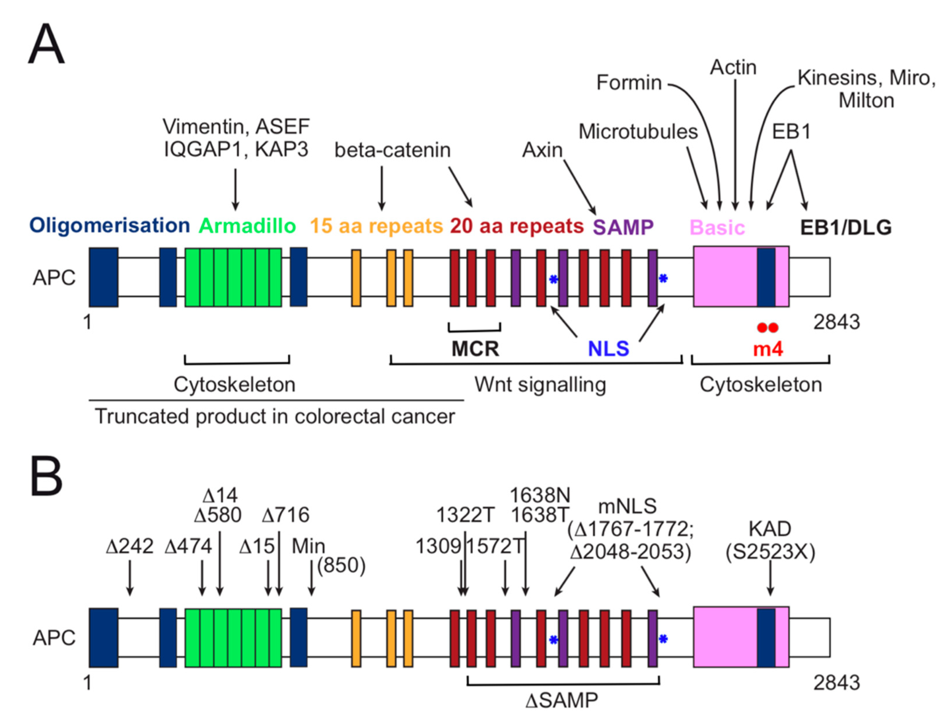 Cancers 12 03811 g003