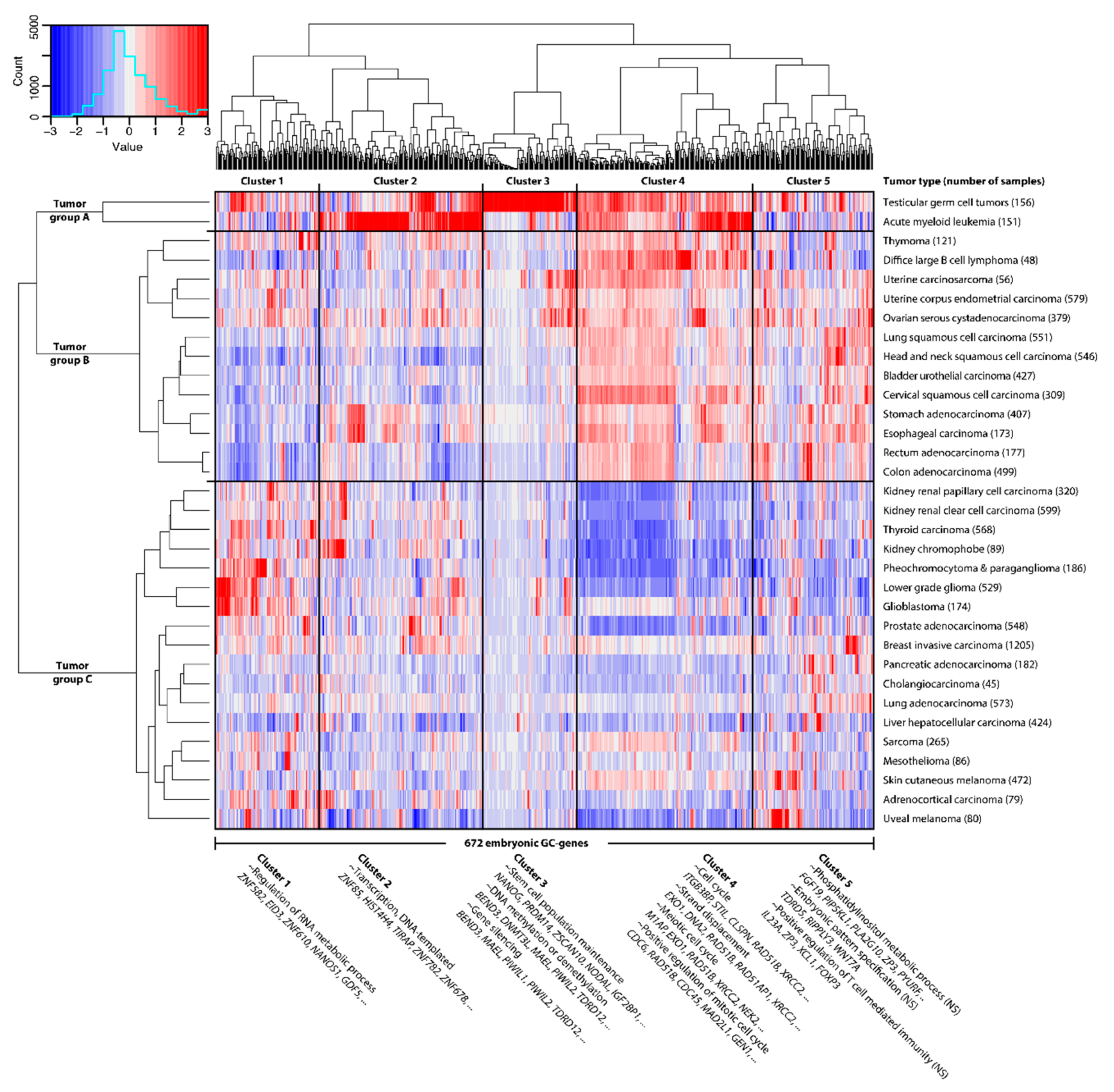 Cancers 12 03812 g002 Cancers 12 03812 g002