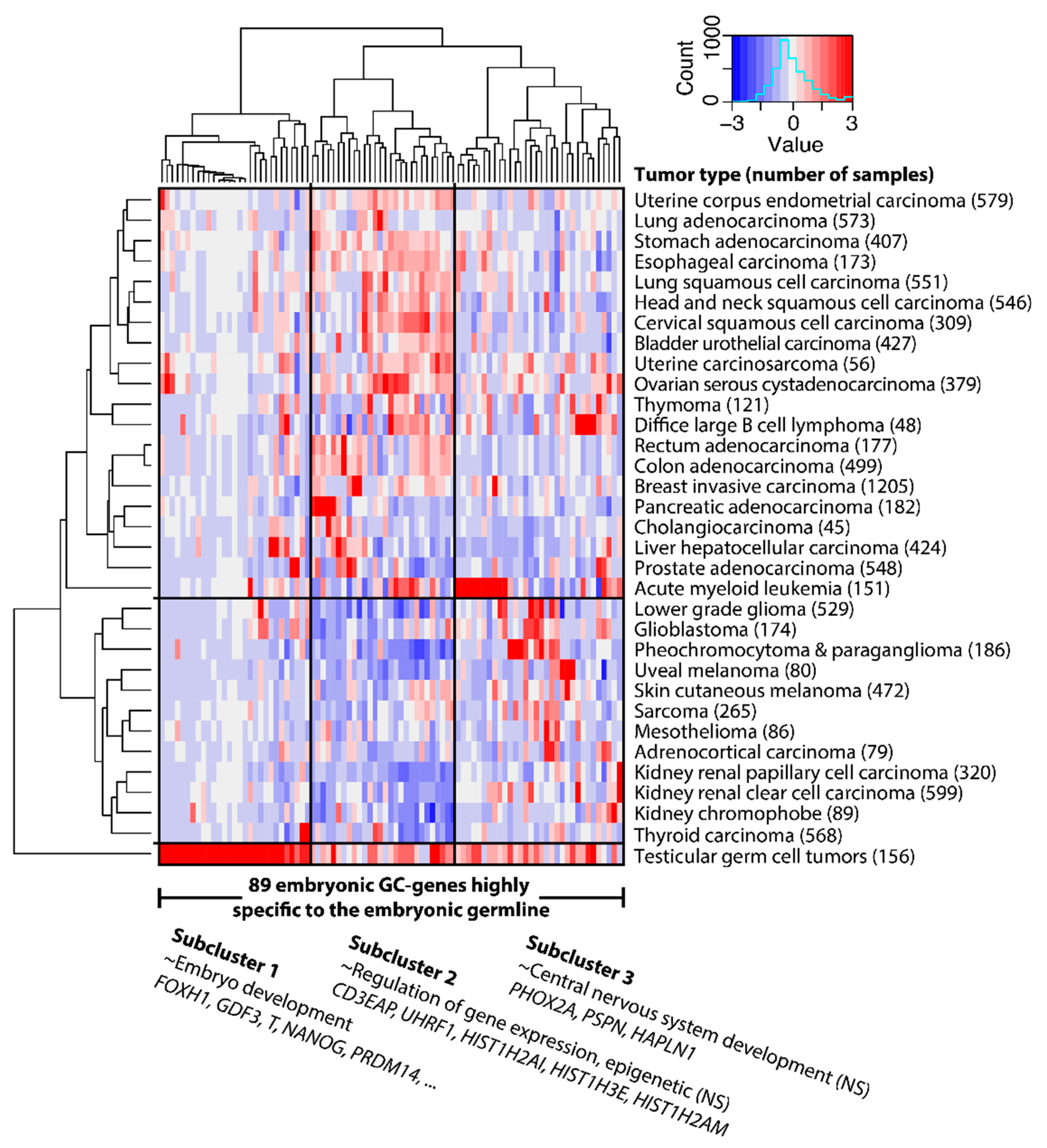 Cancers 12 03812 g005 Cancers 12 03812 g005