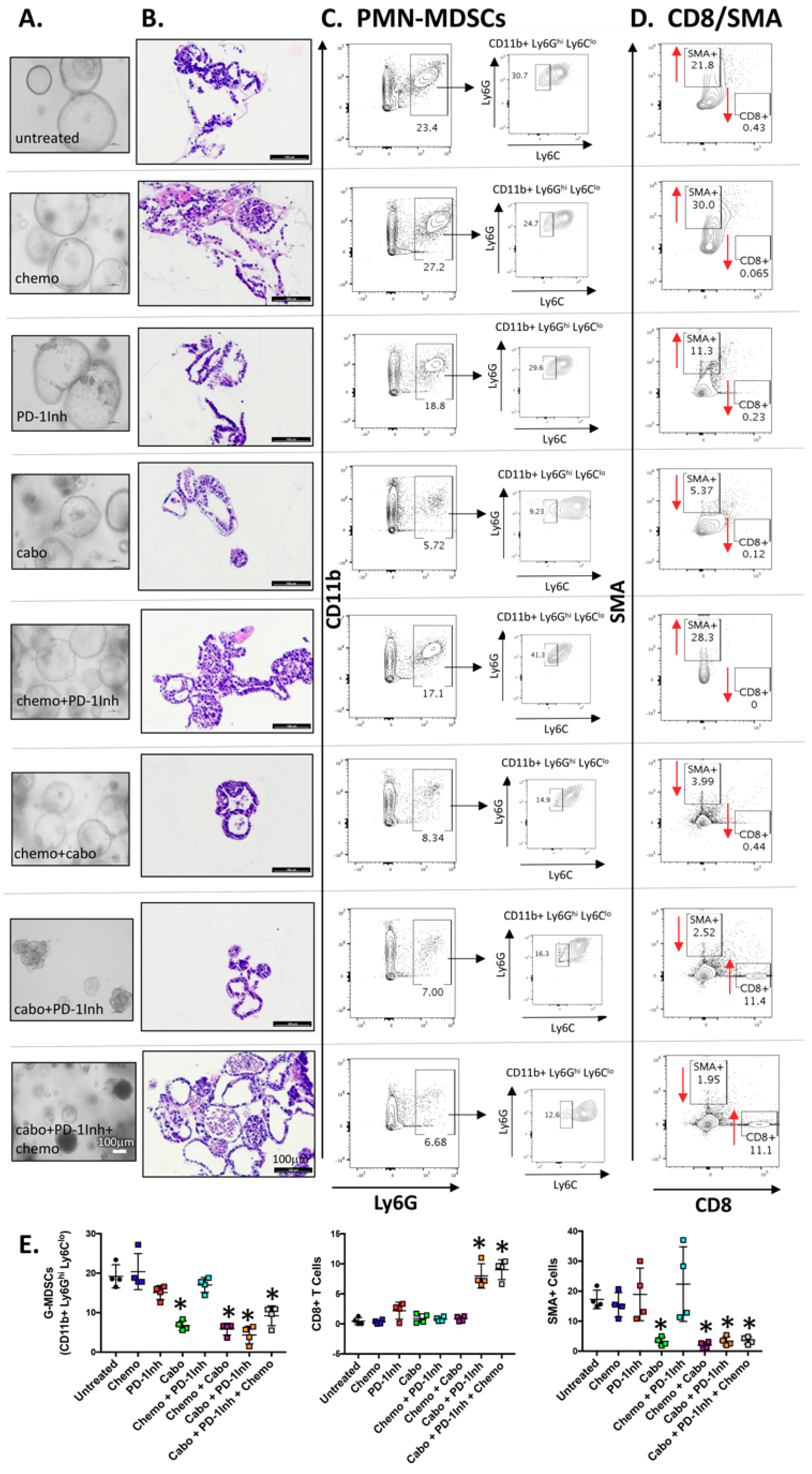 Cancers 12 03816 g002