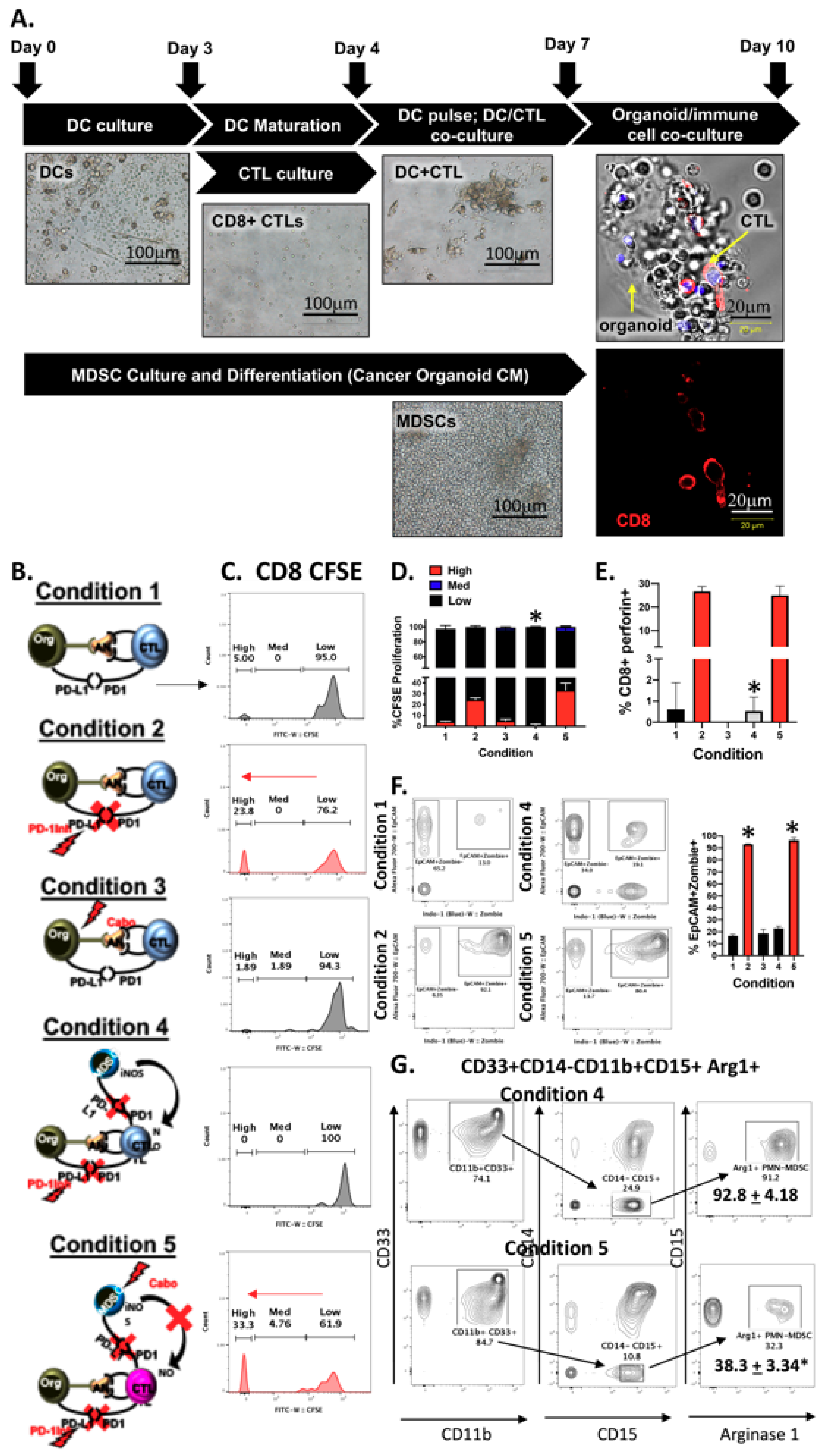 Cancers 12 03816 g007