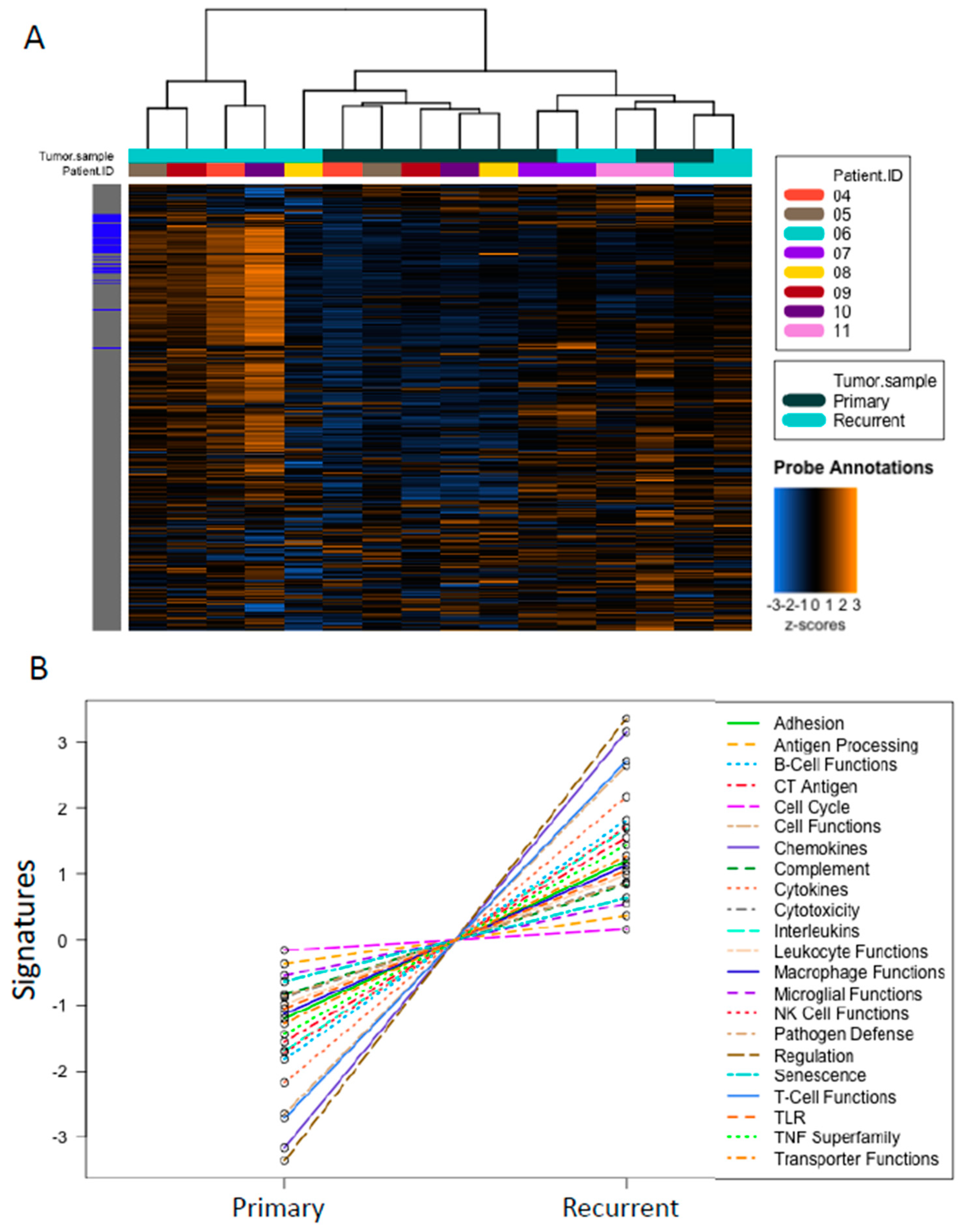 Cancers 12 03828 g003