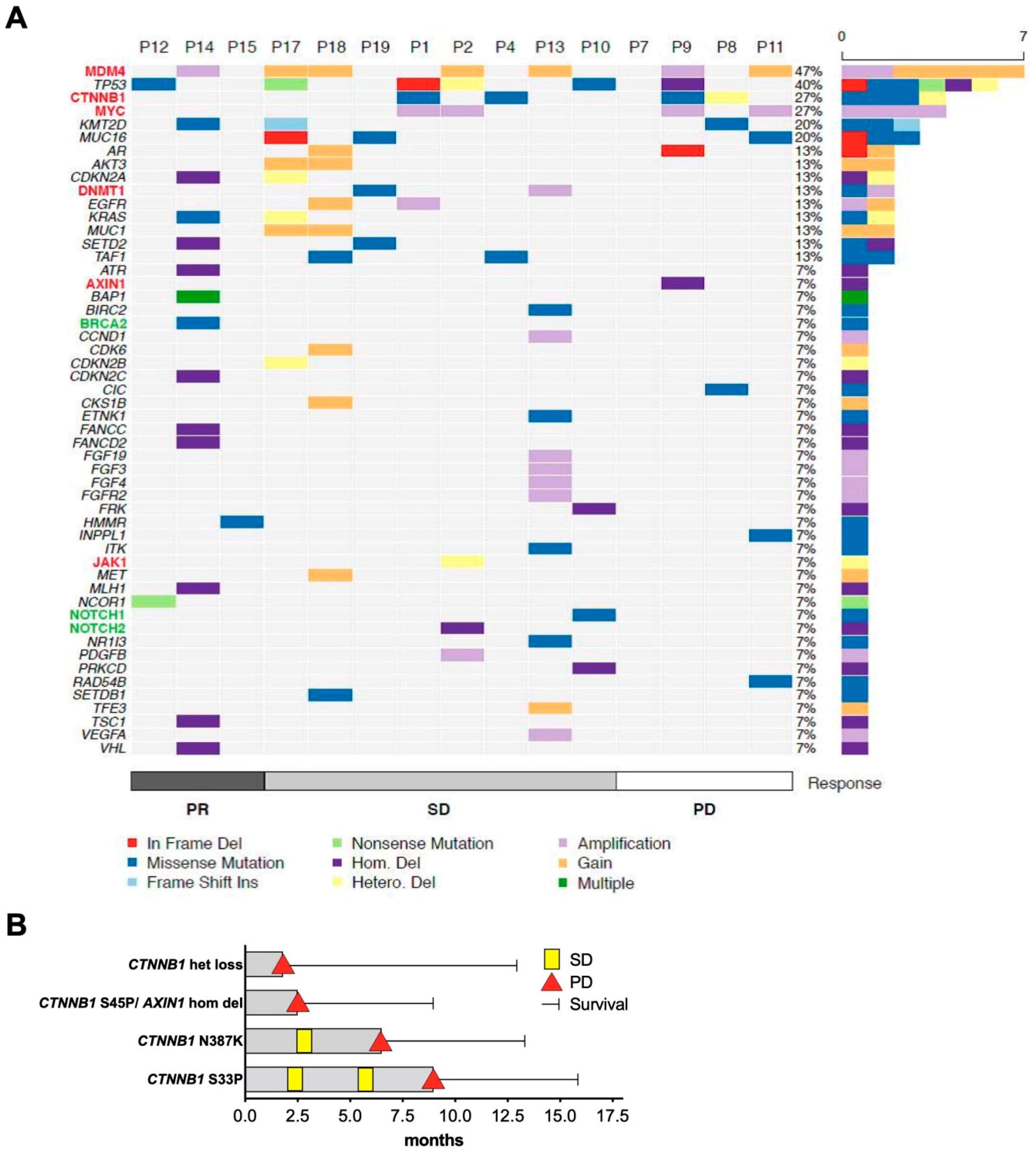 Cancers 12 03830 g004 Cancers 12 03830 g004