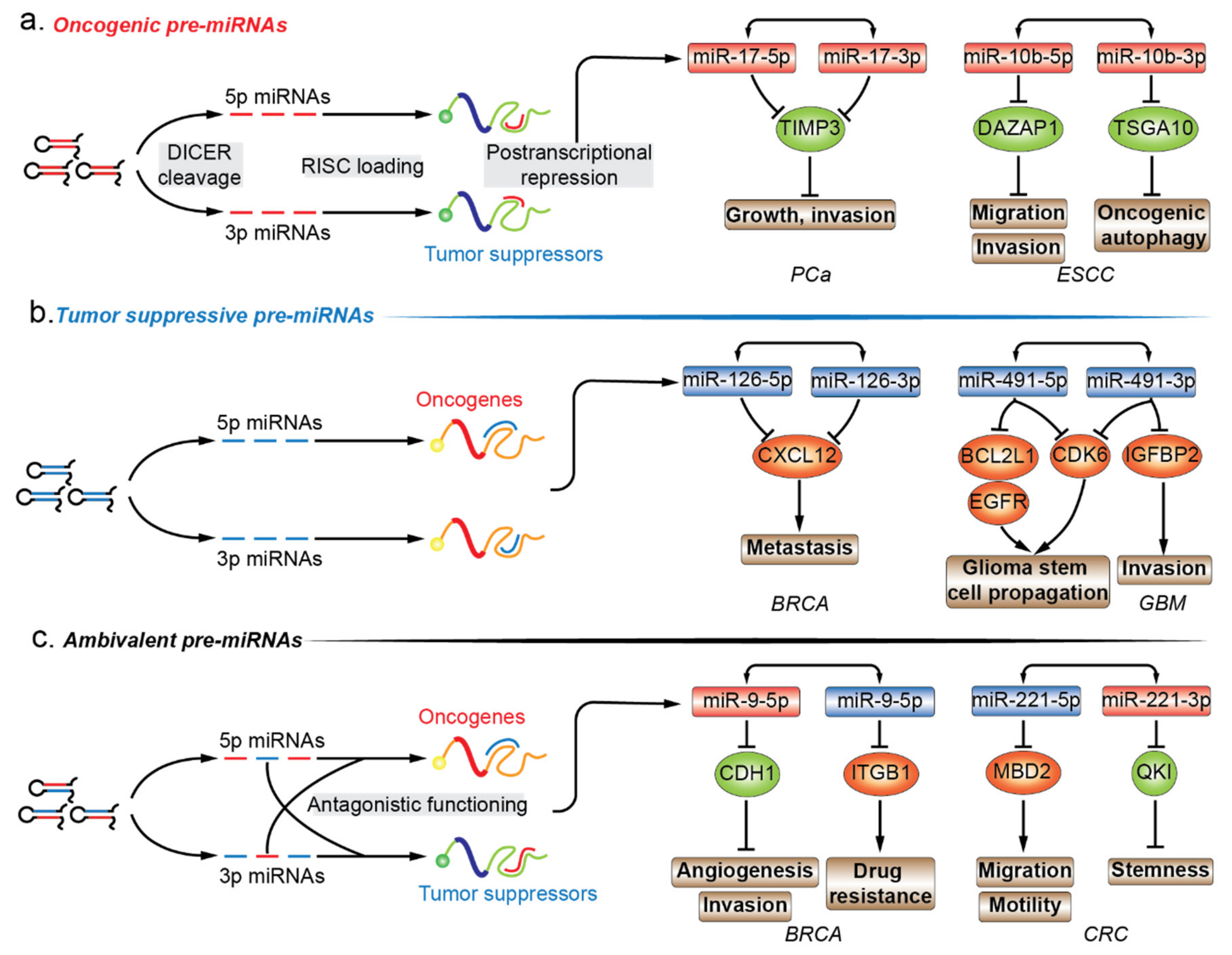 Cancers 12 03831 g002