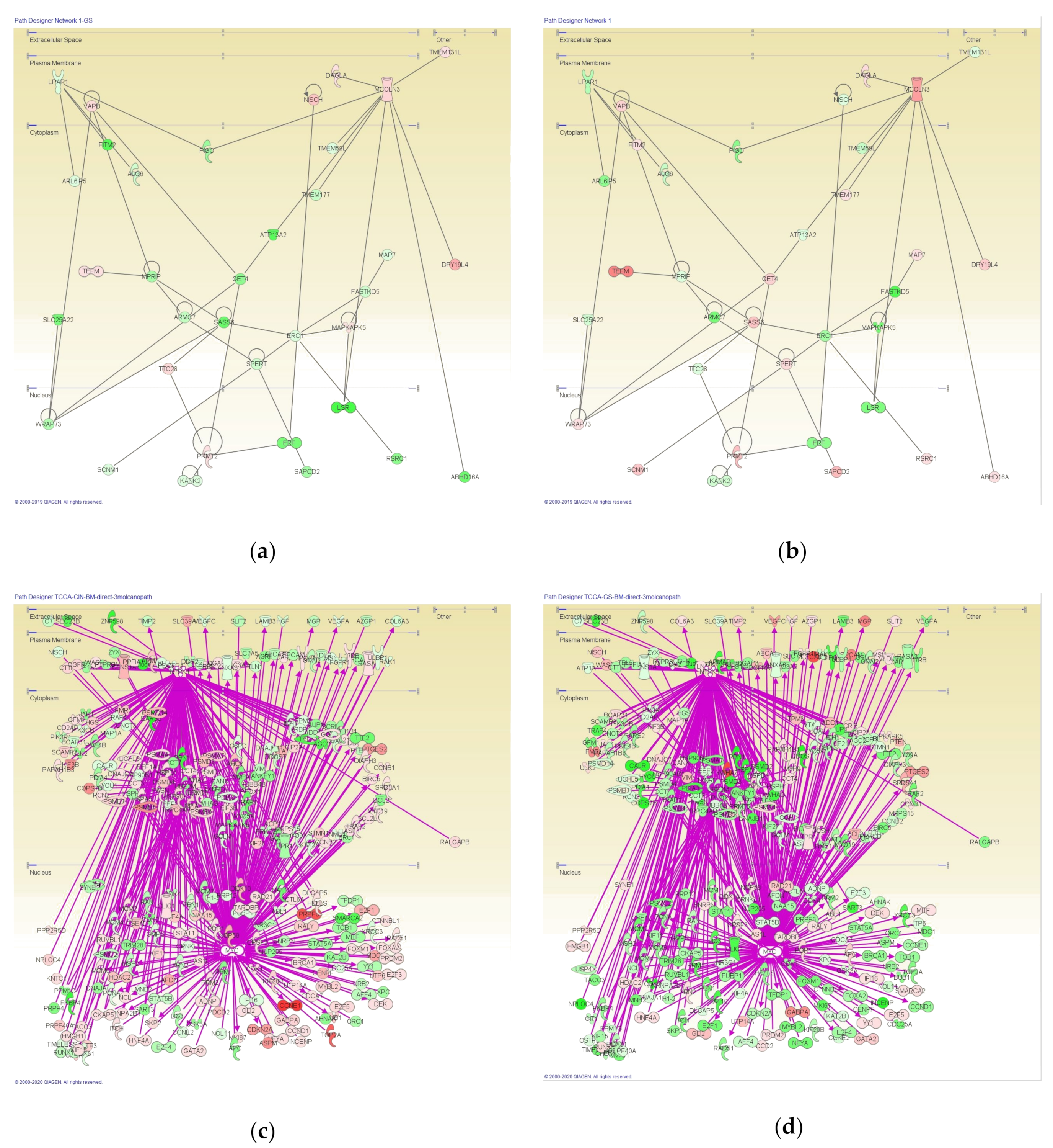 Cancers 12 03833 g002 Cancers 12 03833 g002