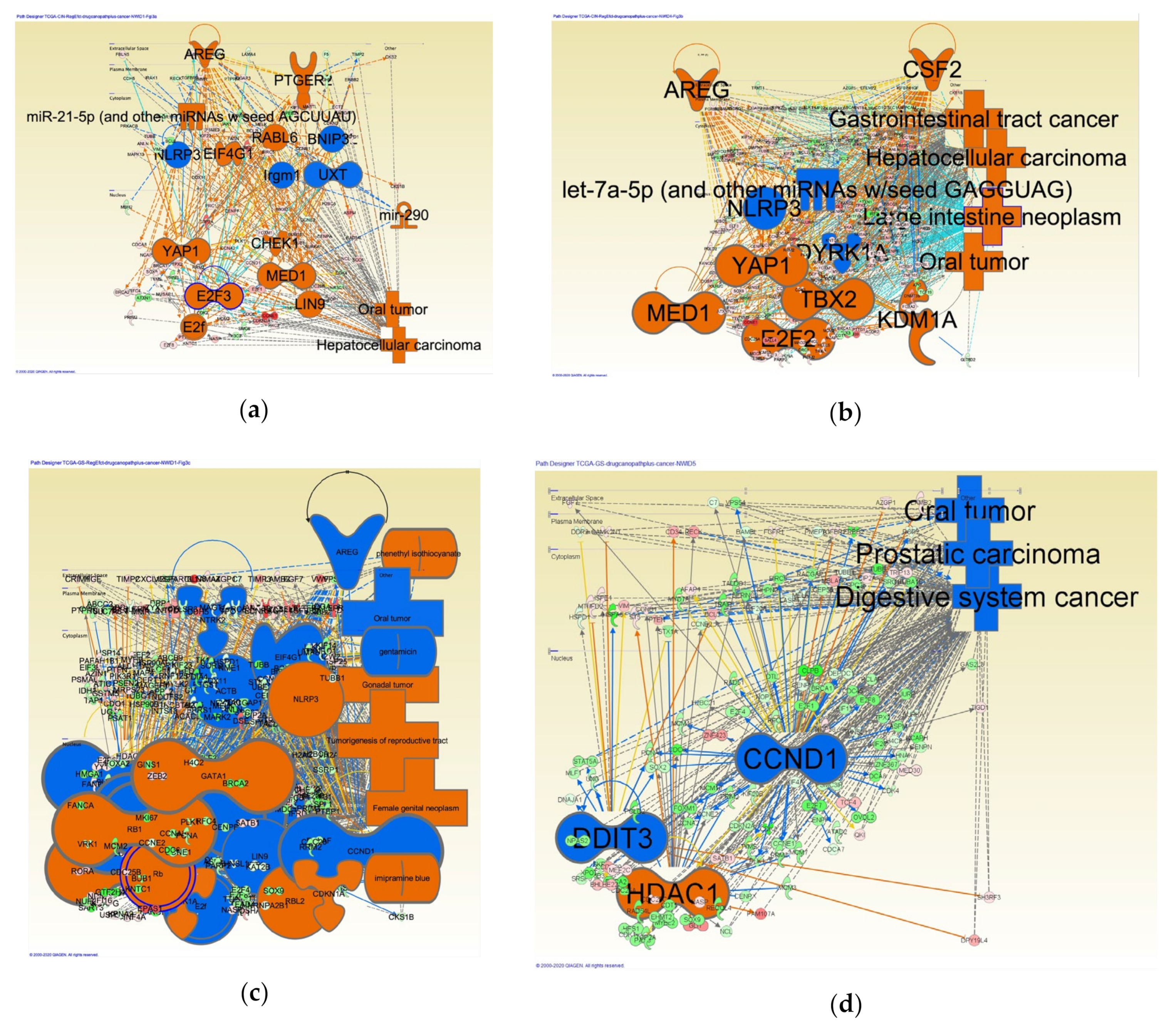 Cancers 12 03833 g003 Cancers 12 03833 g003