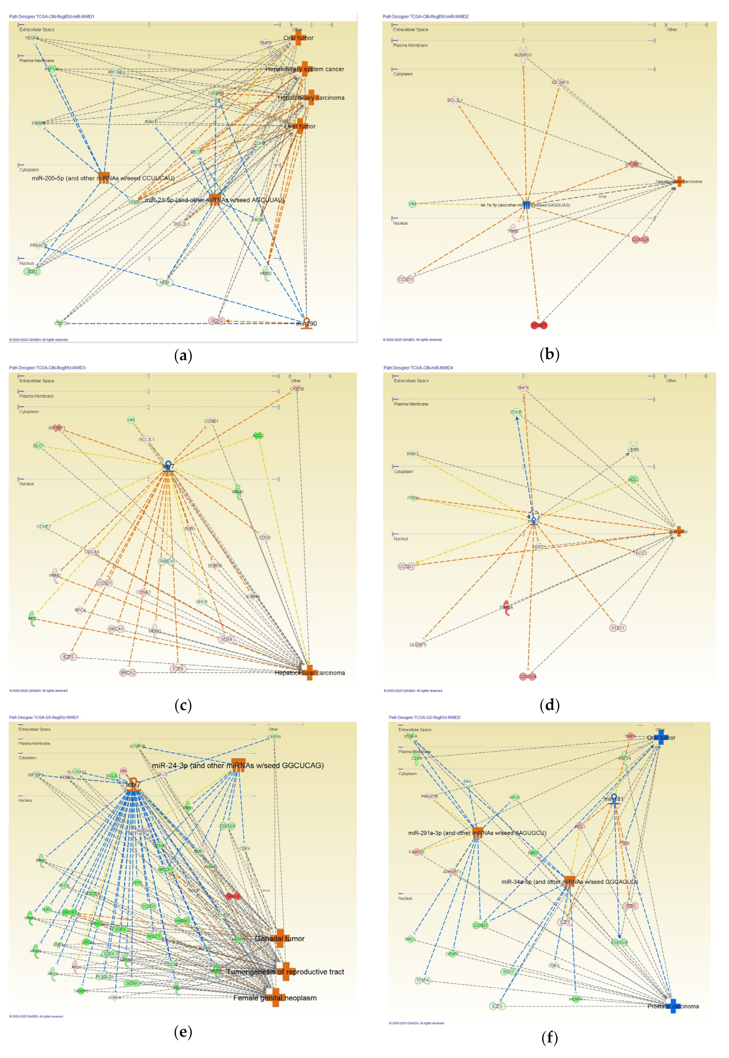 Cancers 12 03833 g004a Cancers 12 03833 g004a