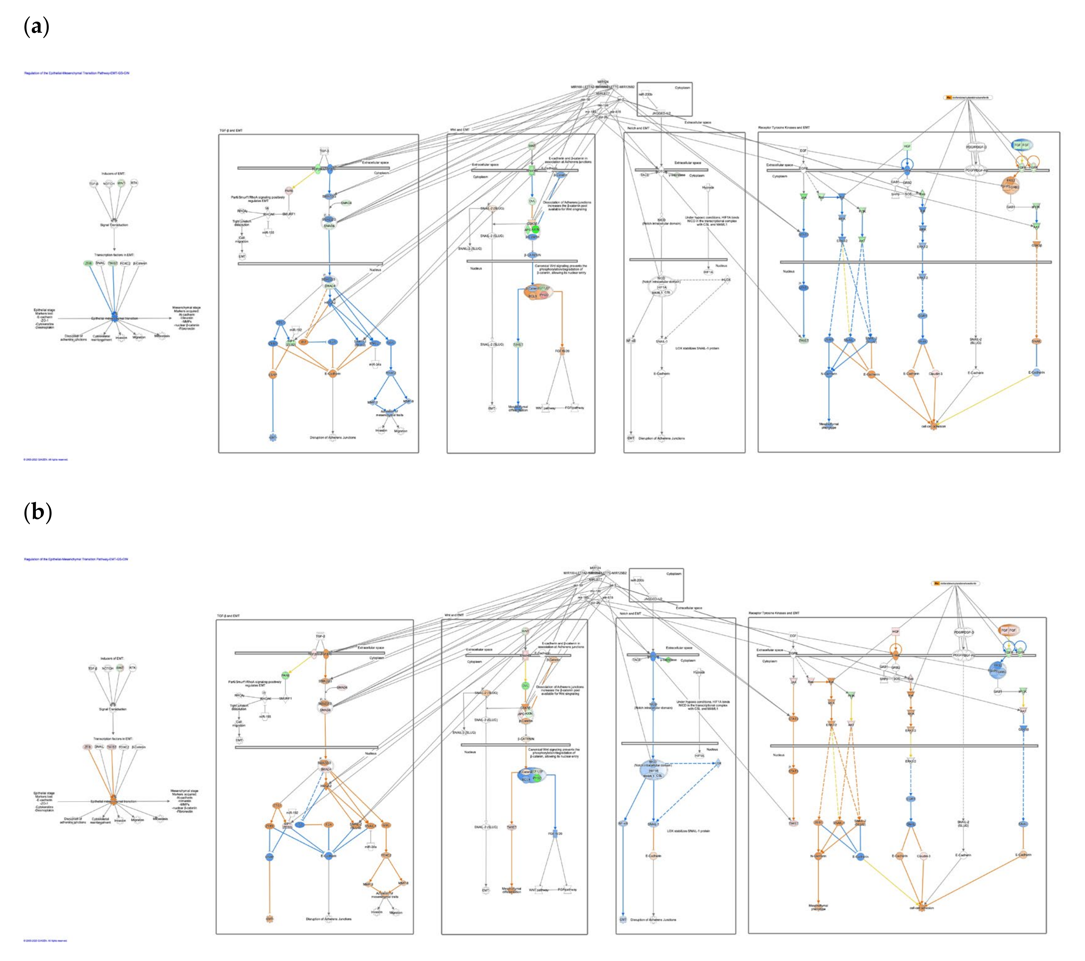 Cancers 12 03833 g006 Cancers 12 03833 g006