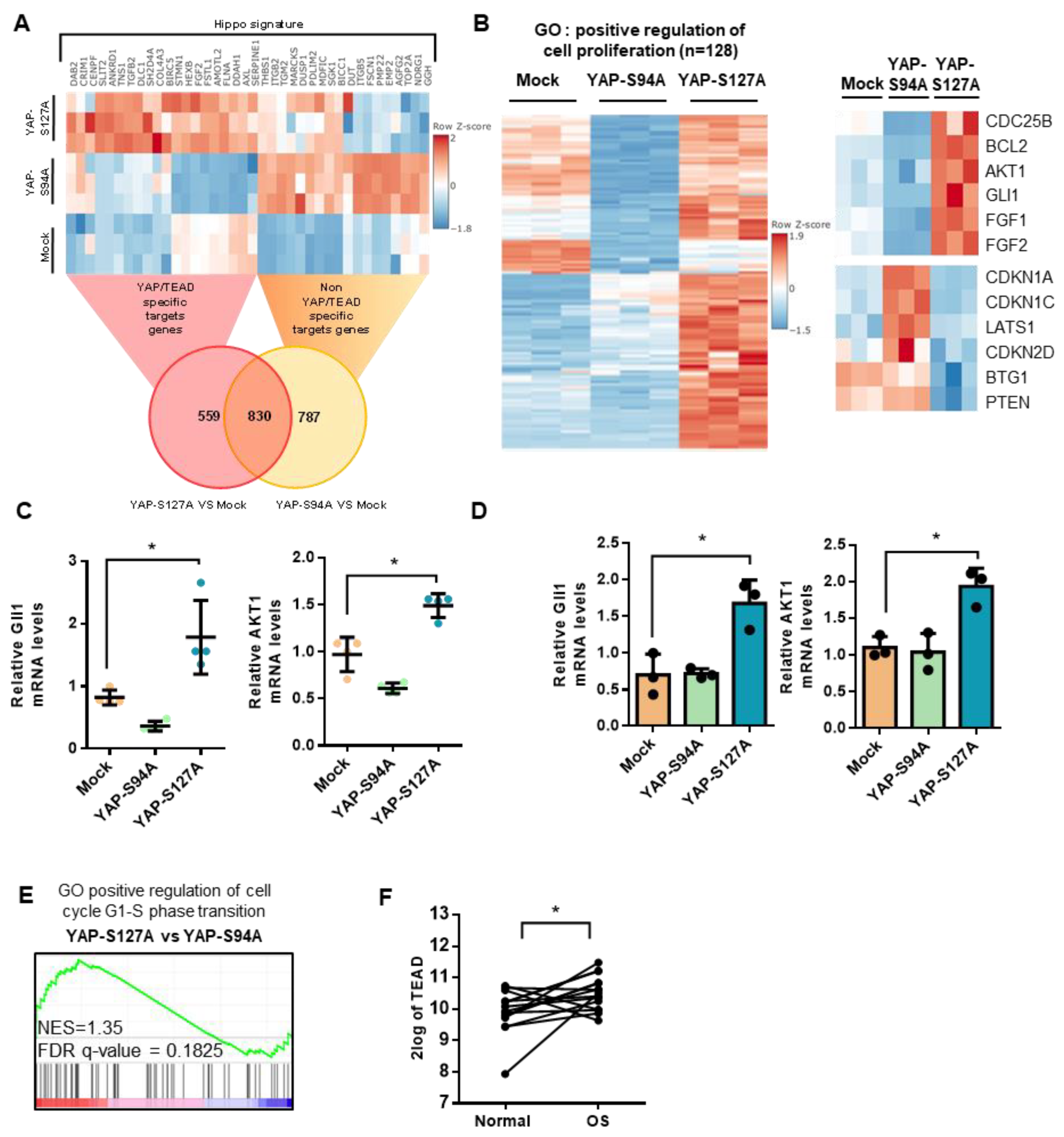 Cancers 12 03847 g004 Cancers 12 03847 g004