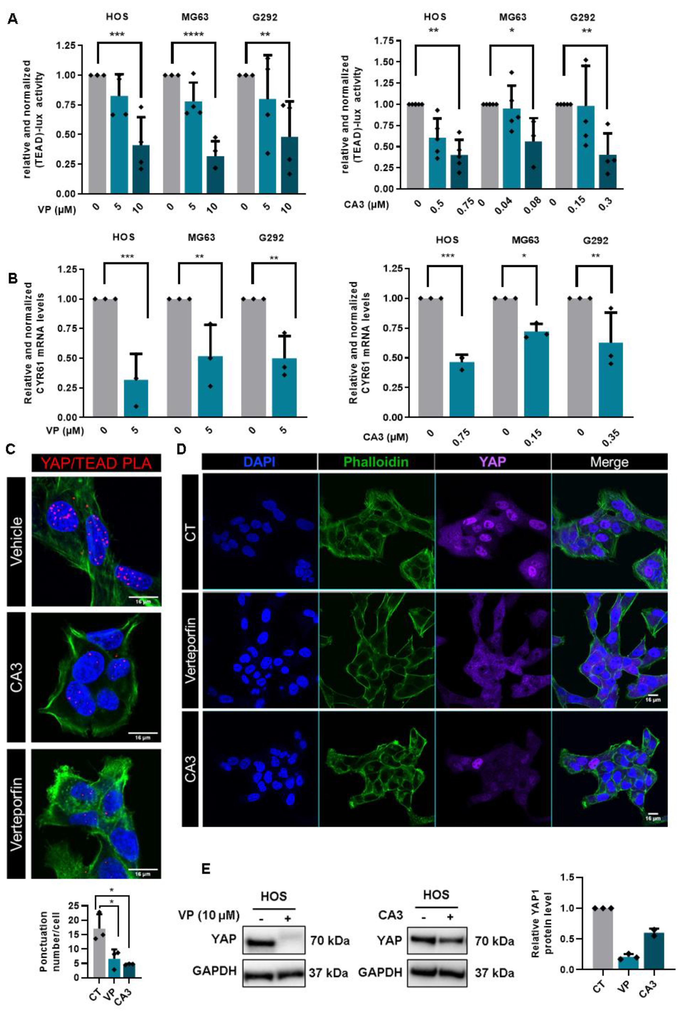 Cancers 12 03847 g005 Cancers 12 03847 g005