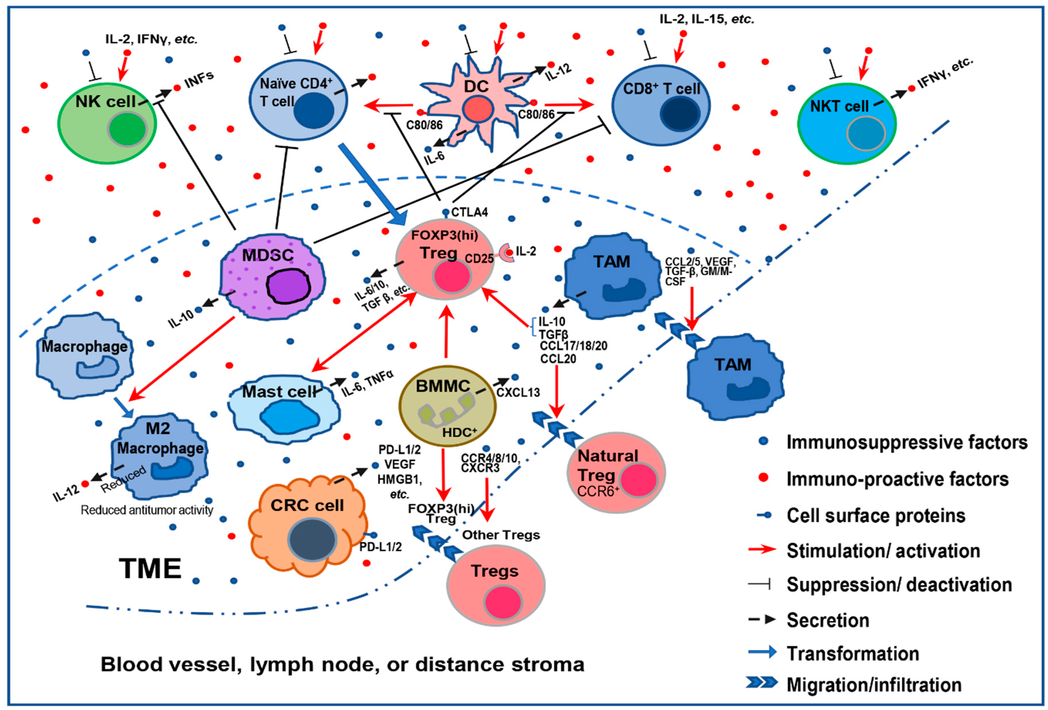 Cancers 12 03850 g001 Cancers 12 03850 g001