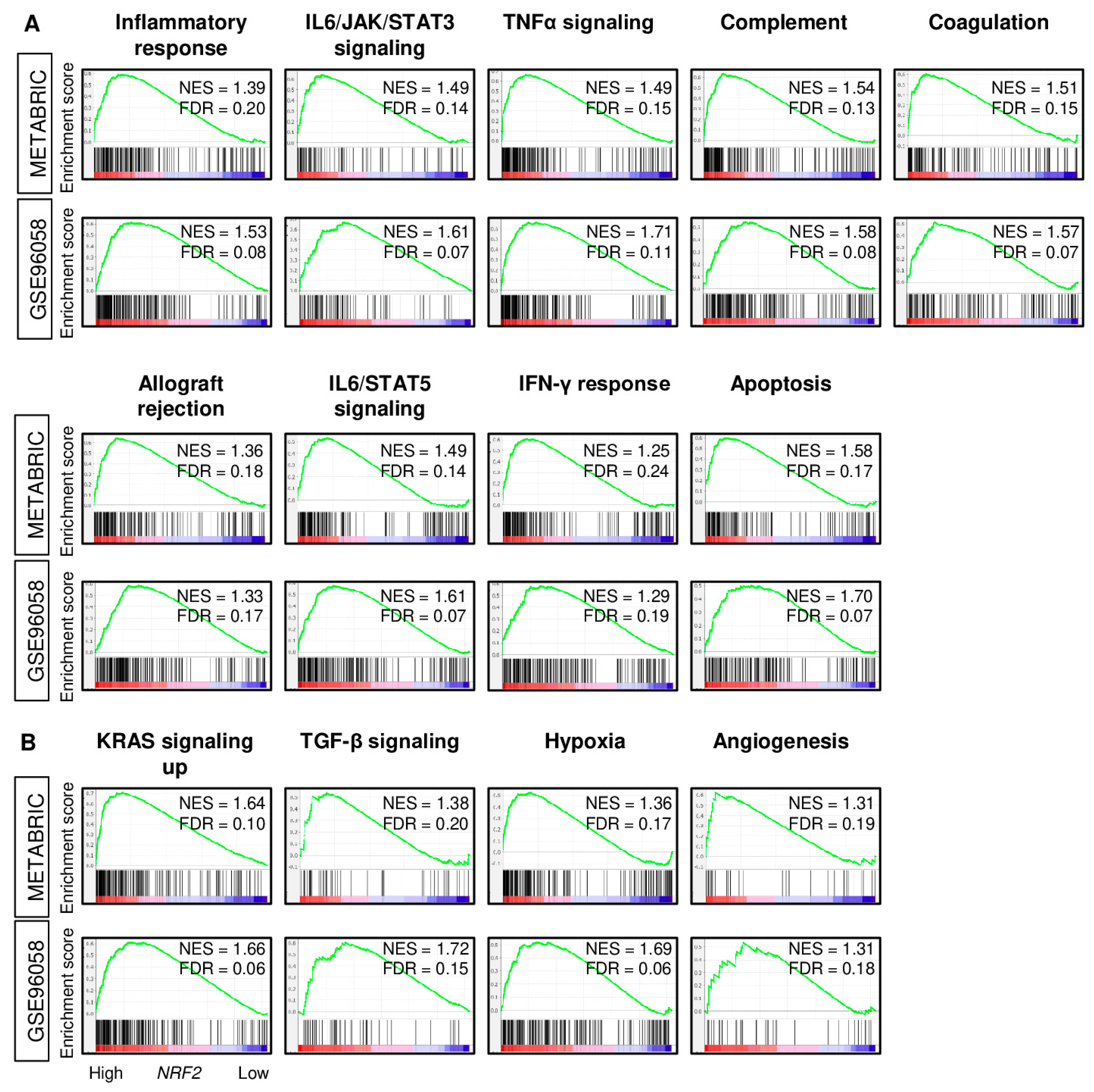 Cancers 12 03856 g003