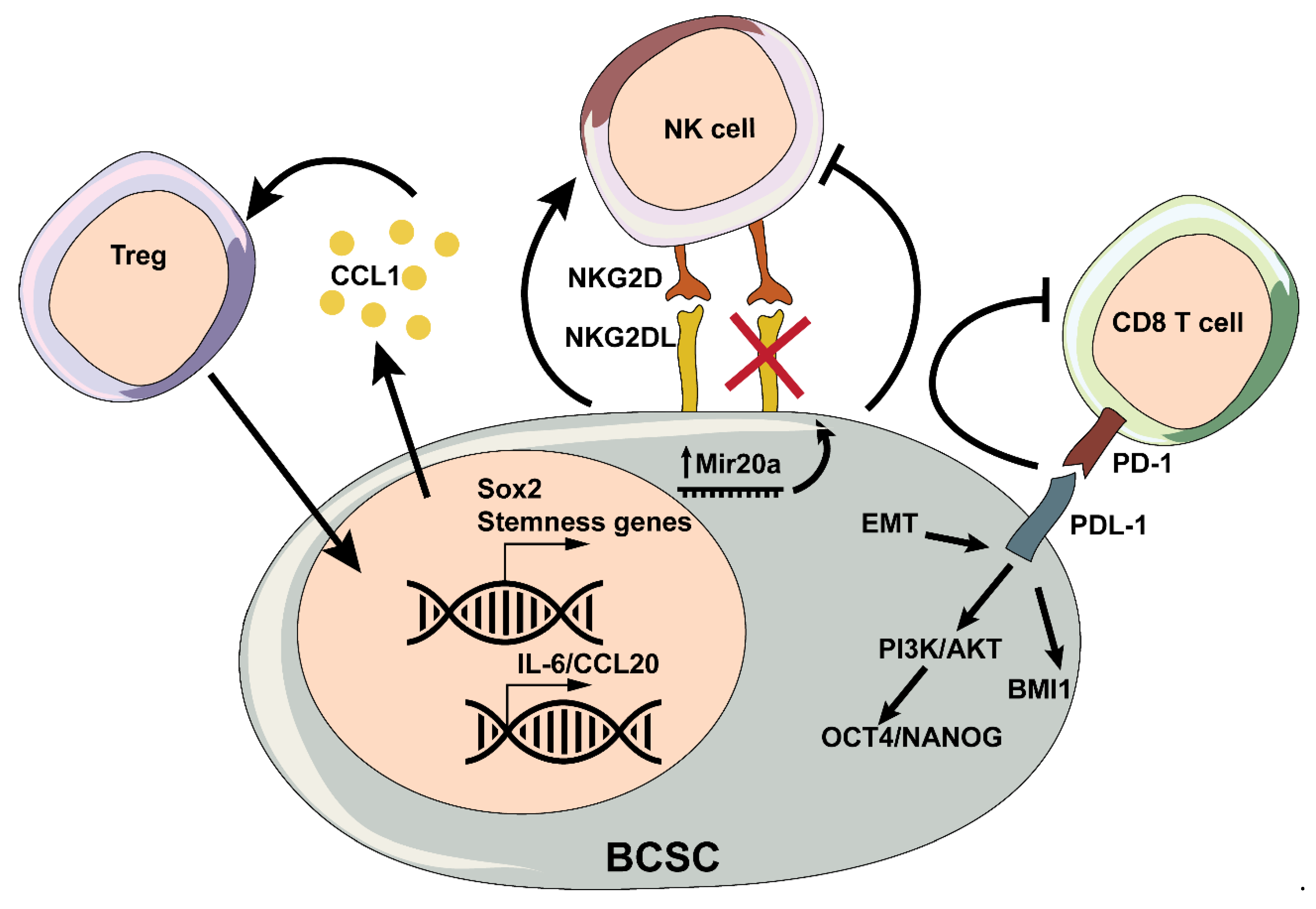Cancers 12 03863 g002 Cancers 12 03863 g002