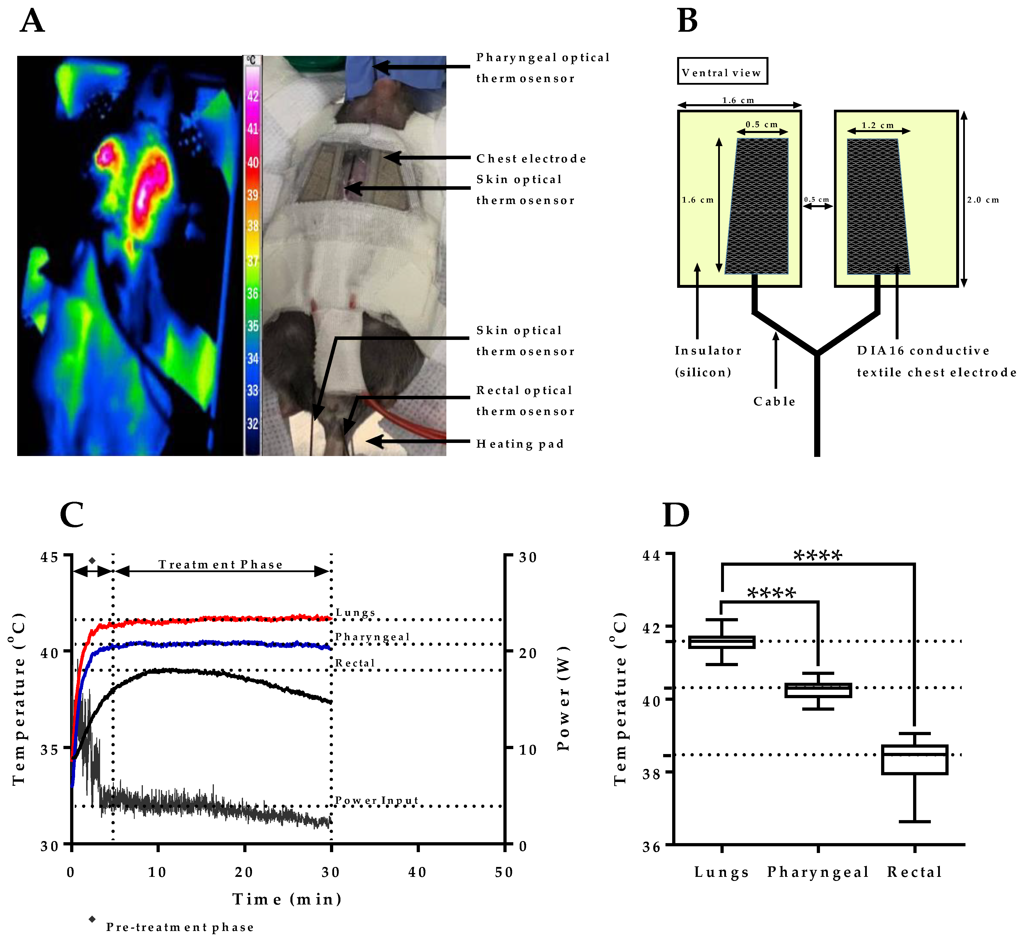 Cancers 12 03872 g001