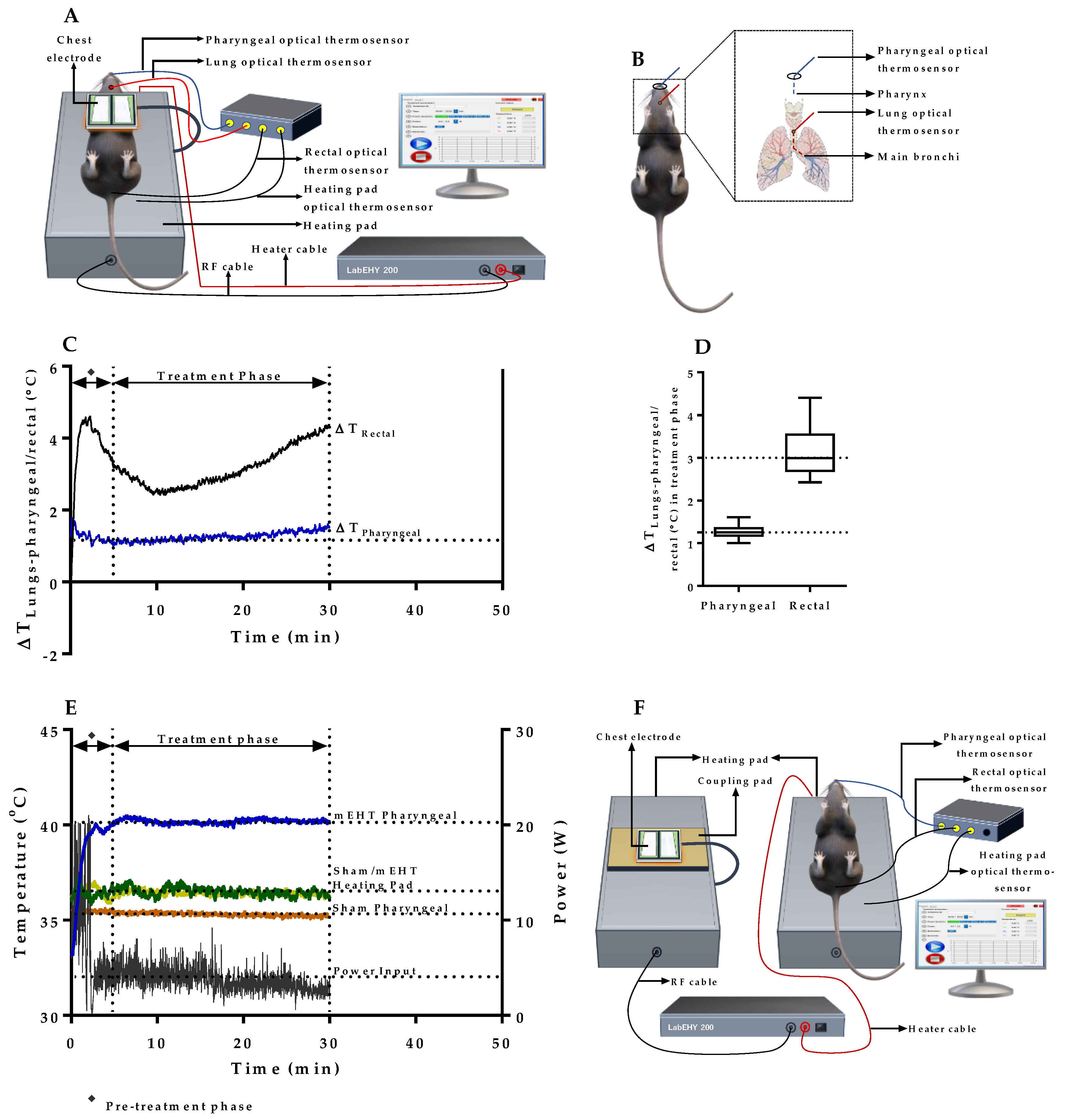 Cancers 12 03872 g002