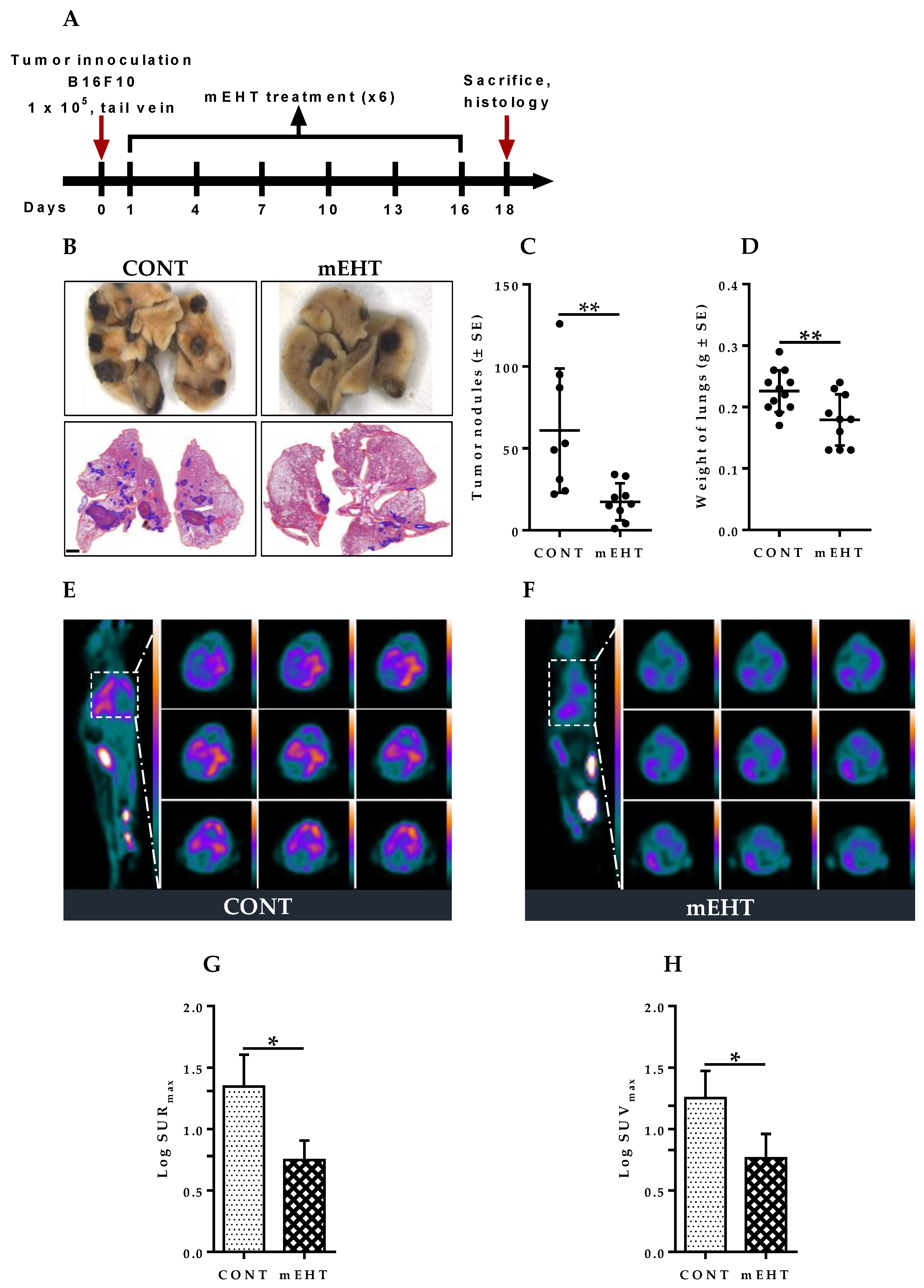 Cancers 12 03872 g003