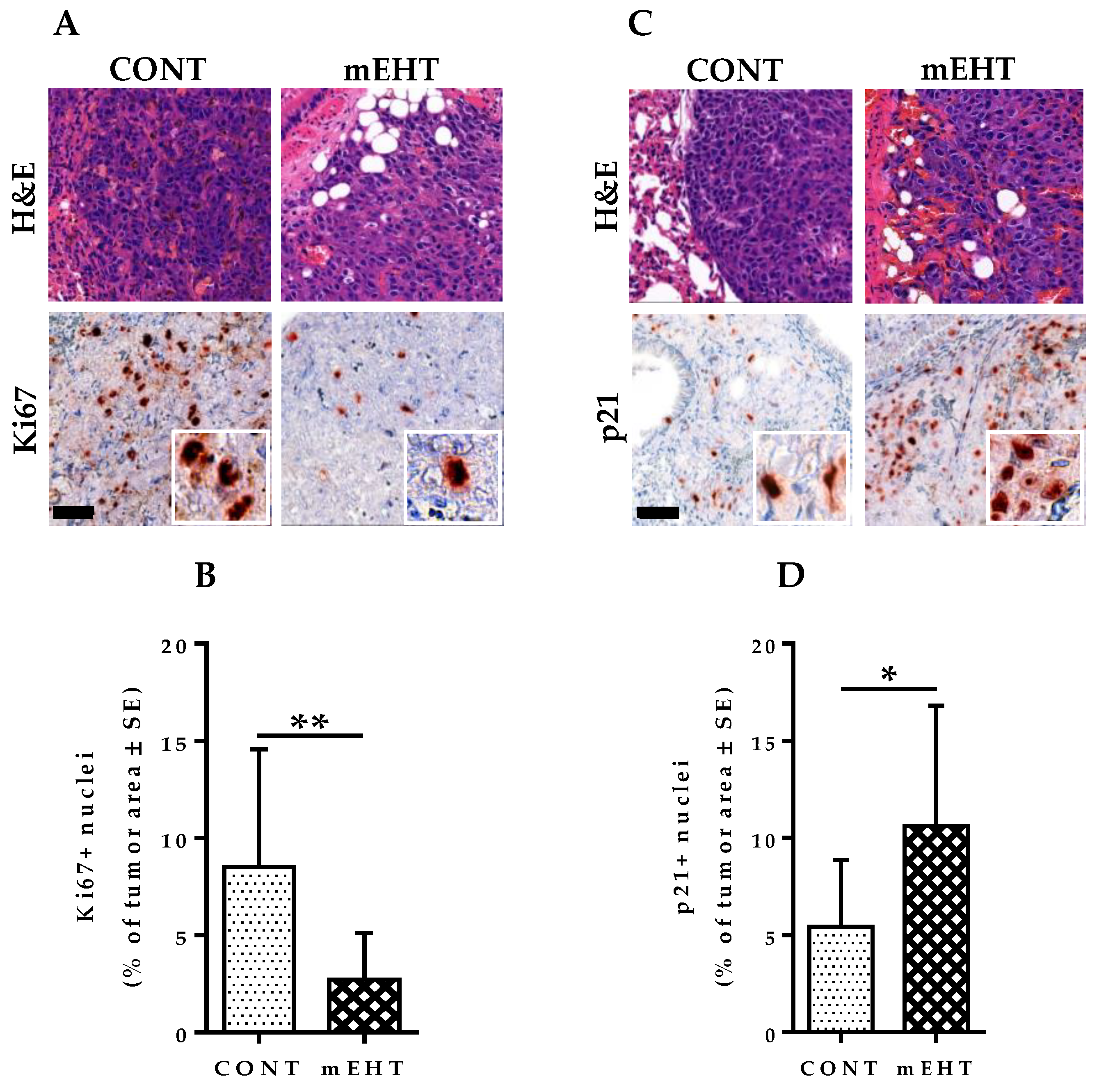 Cancers 12 03872 g005