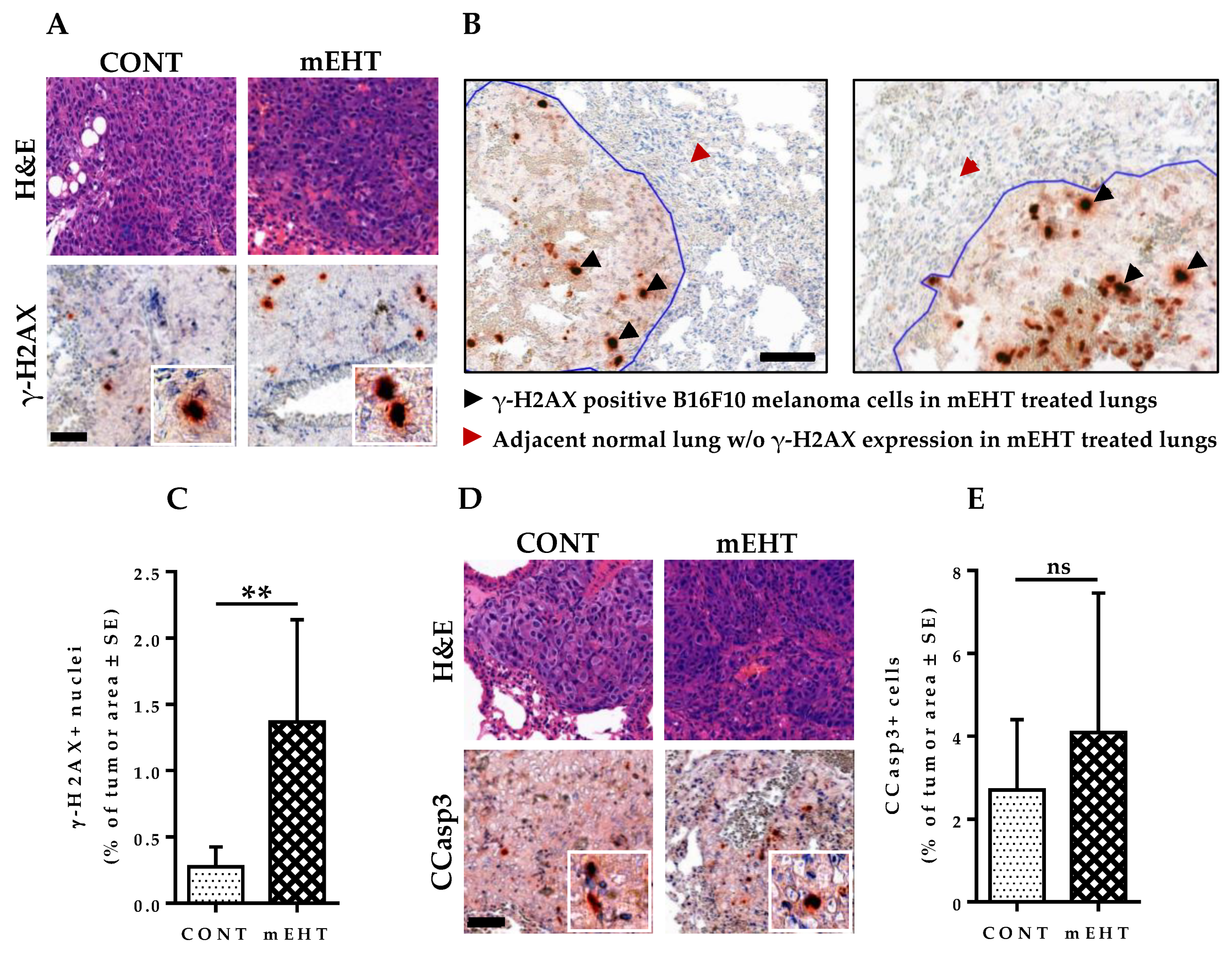 Cancers 12 03872 g006