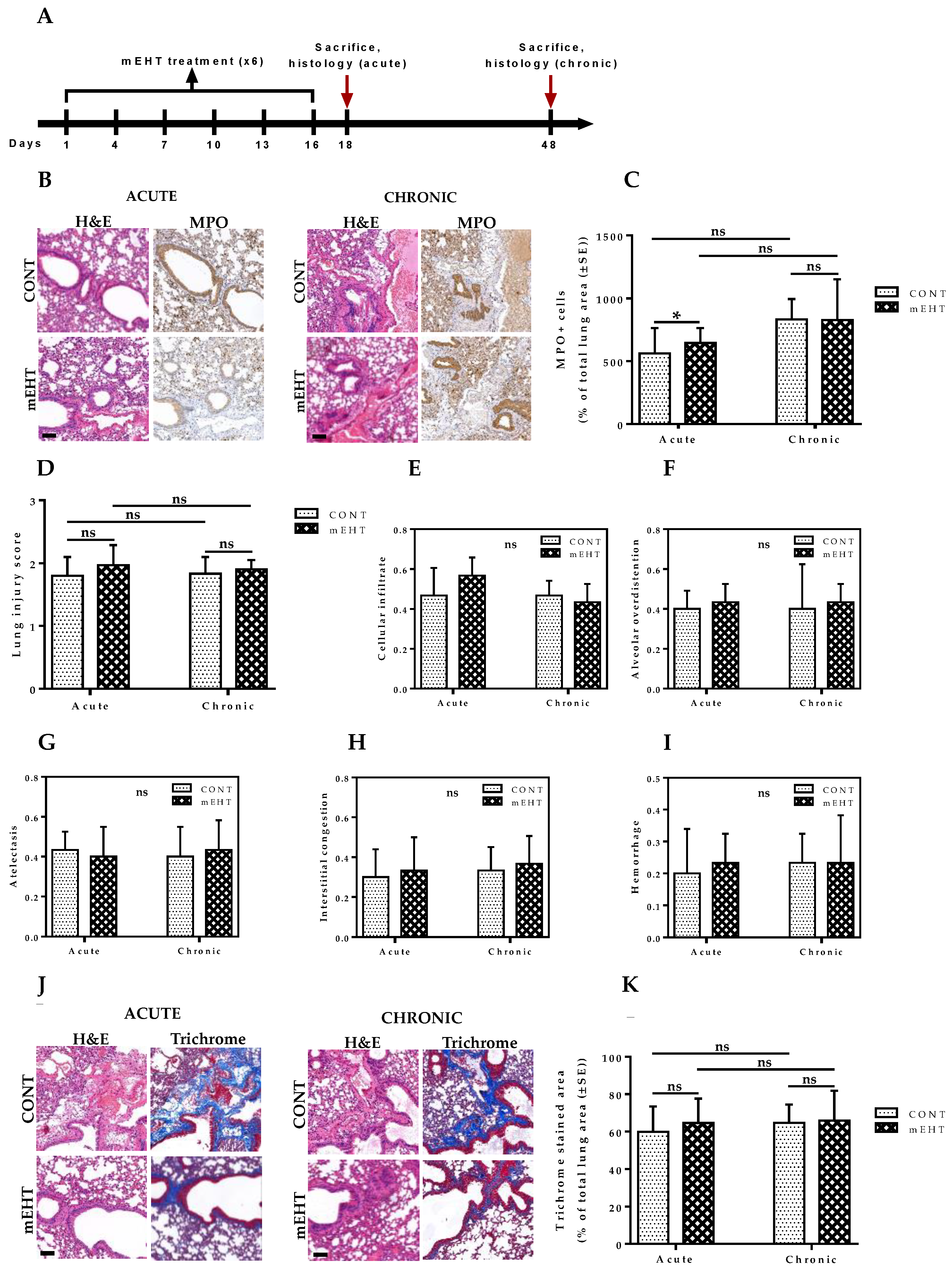 Cancers 12 03872 g009