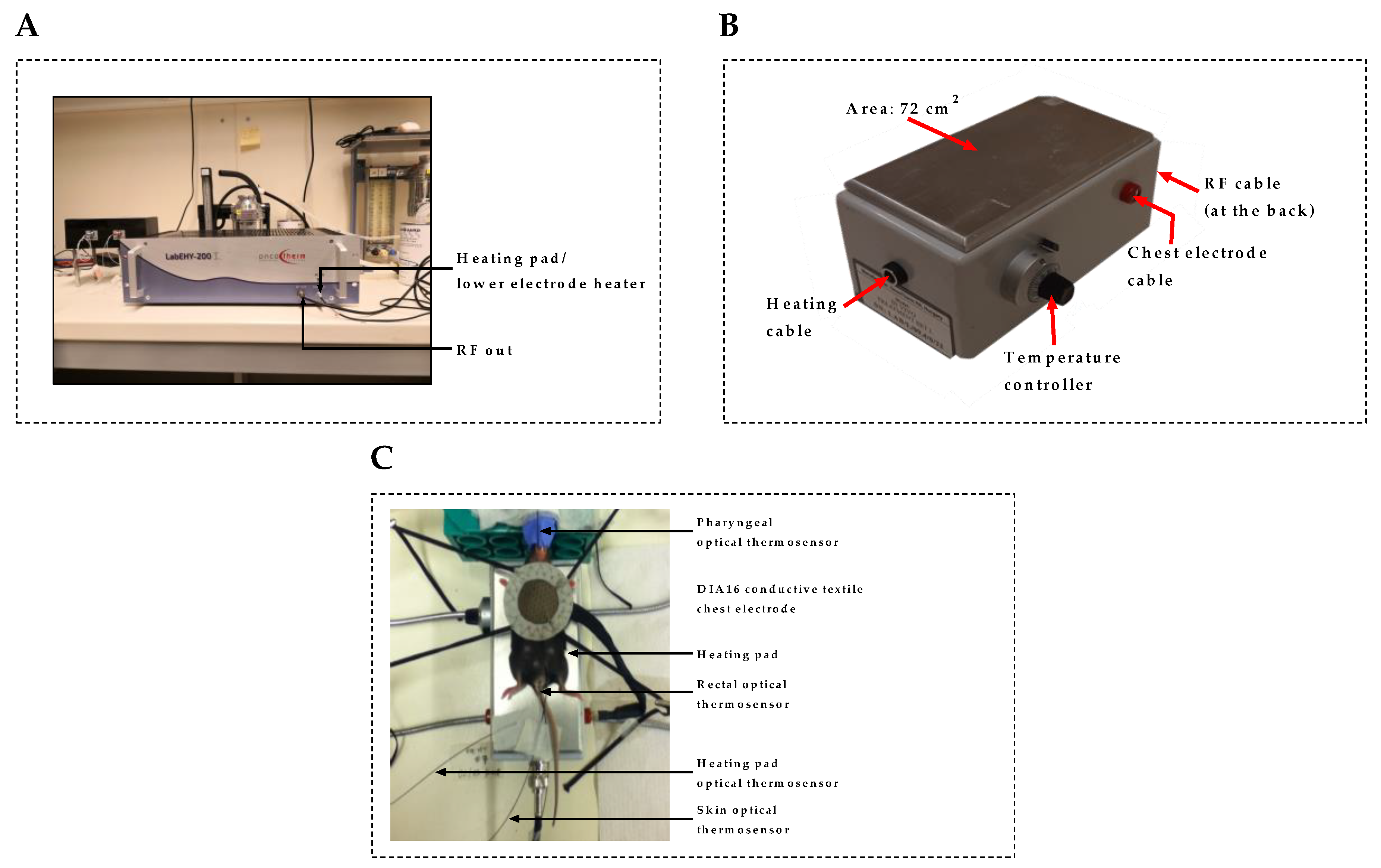 Cancers 12 03872 g010