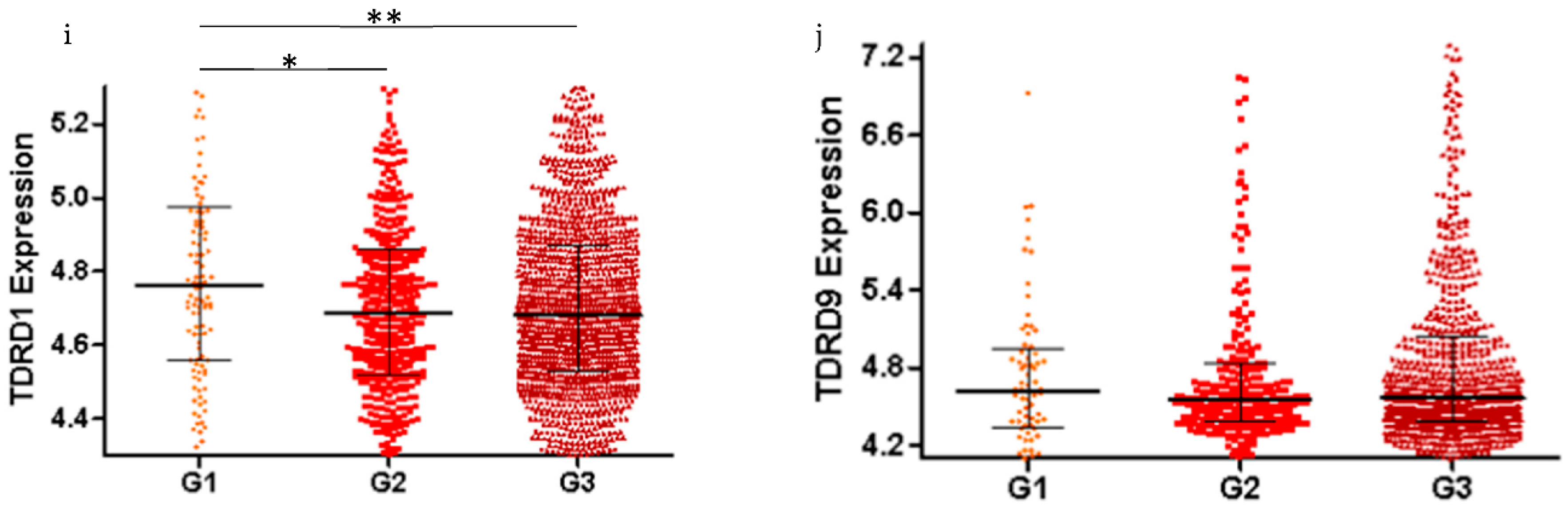Cancers 13 00004 g003b Cancers 13 00004 g003b