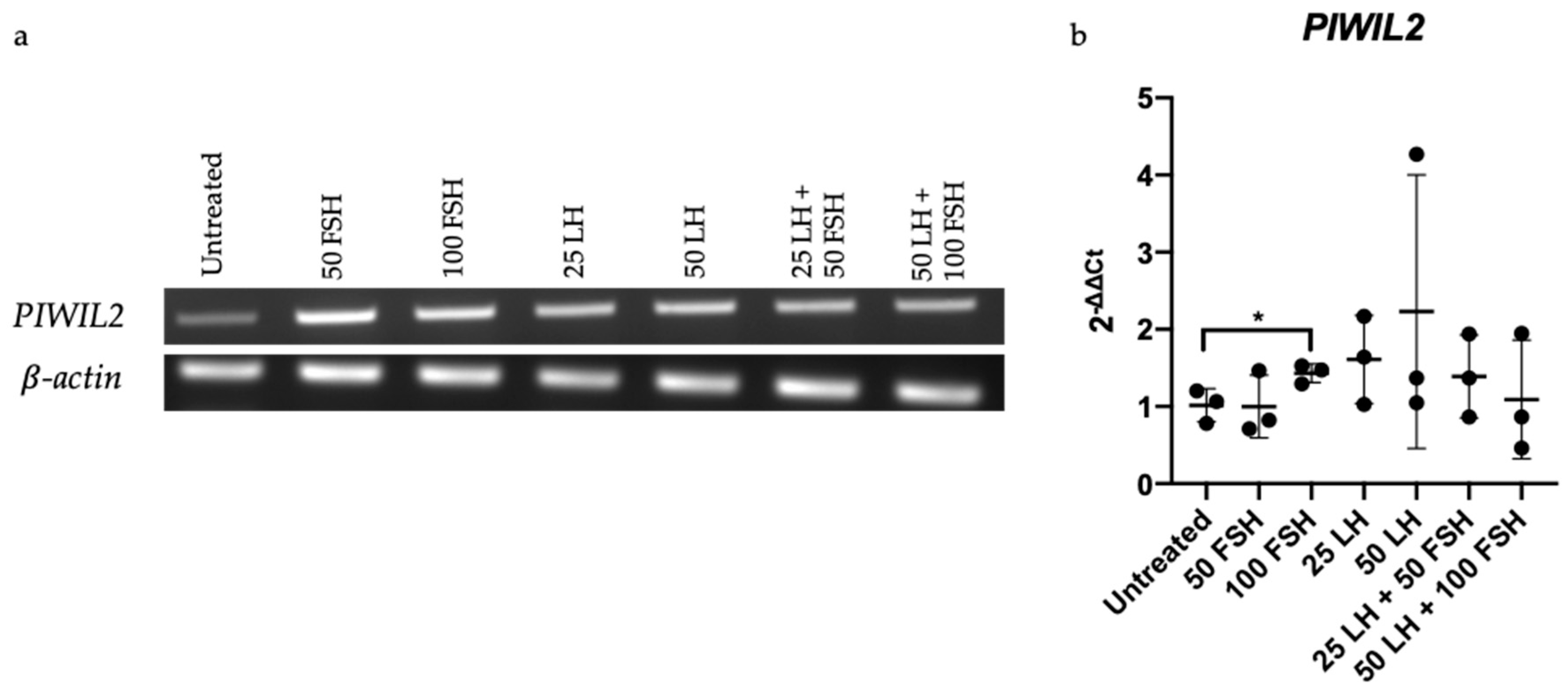 Cancers 13 00004 g005 Cancers 13 00004 g005