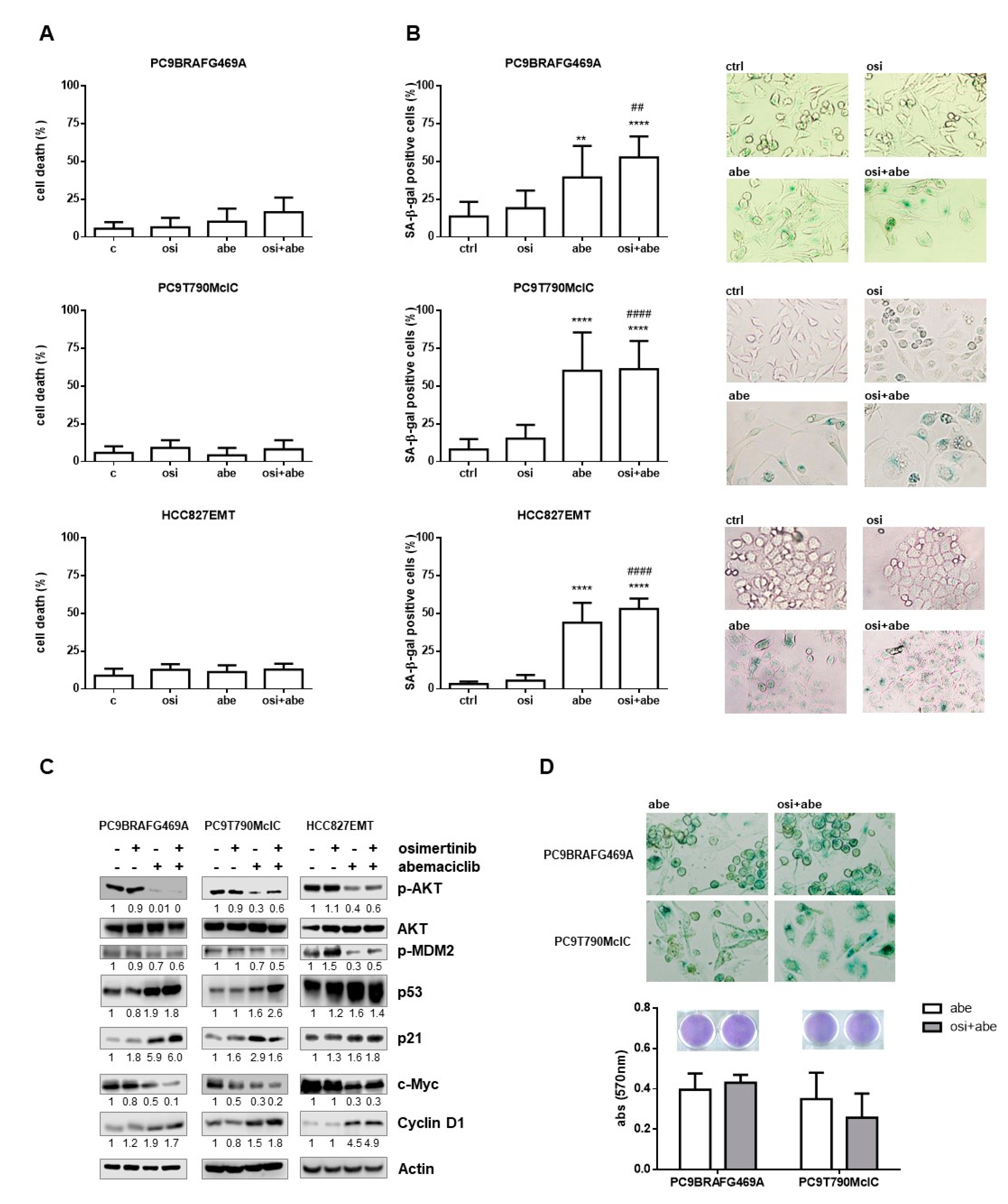 Cancers 13 00006 g005