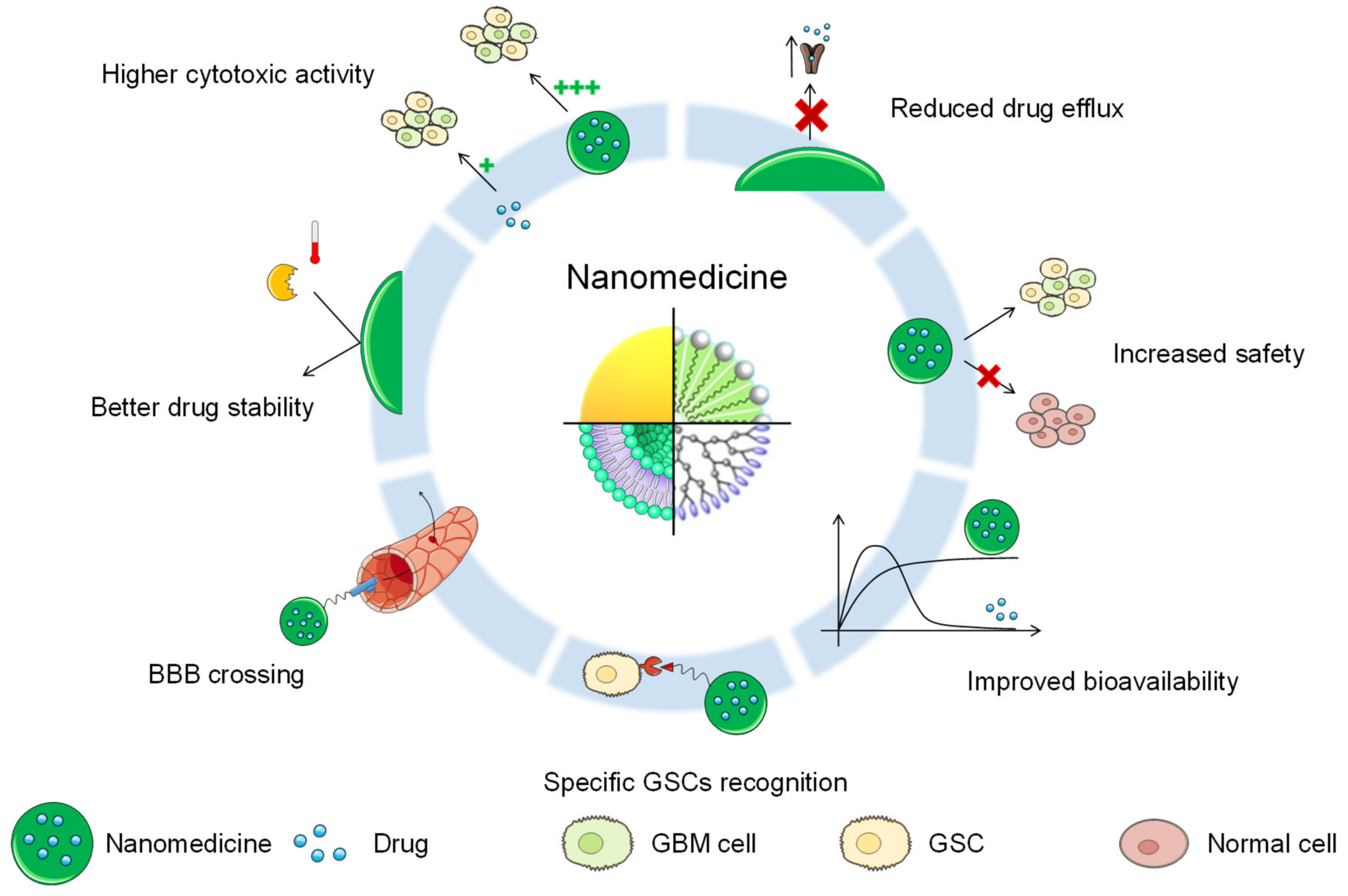 Cancers 13 00009 g003