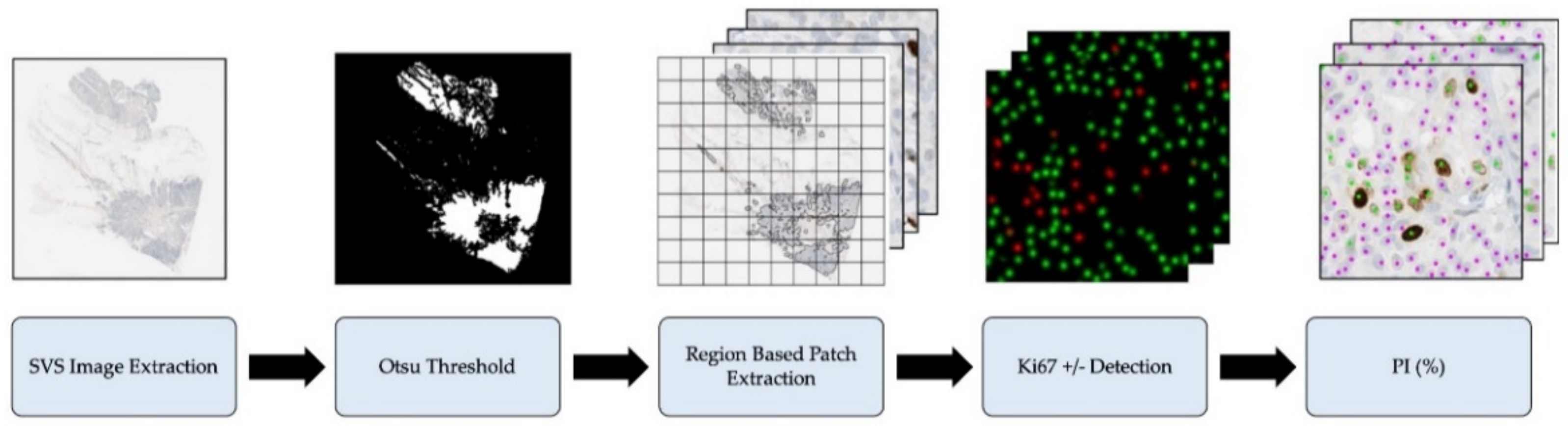 Cancers 13 00011 g004