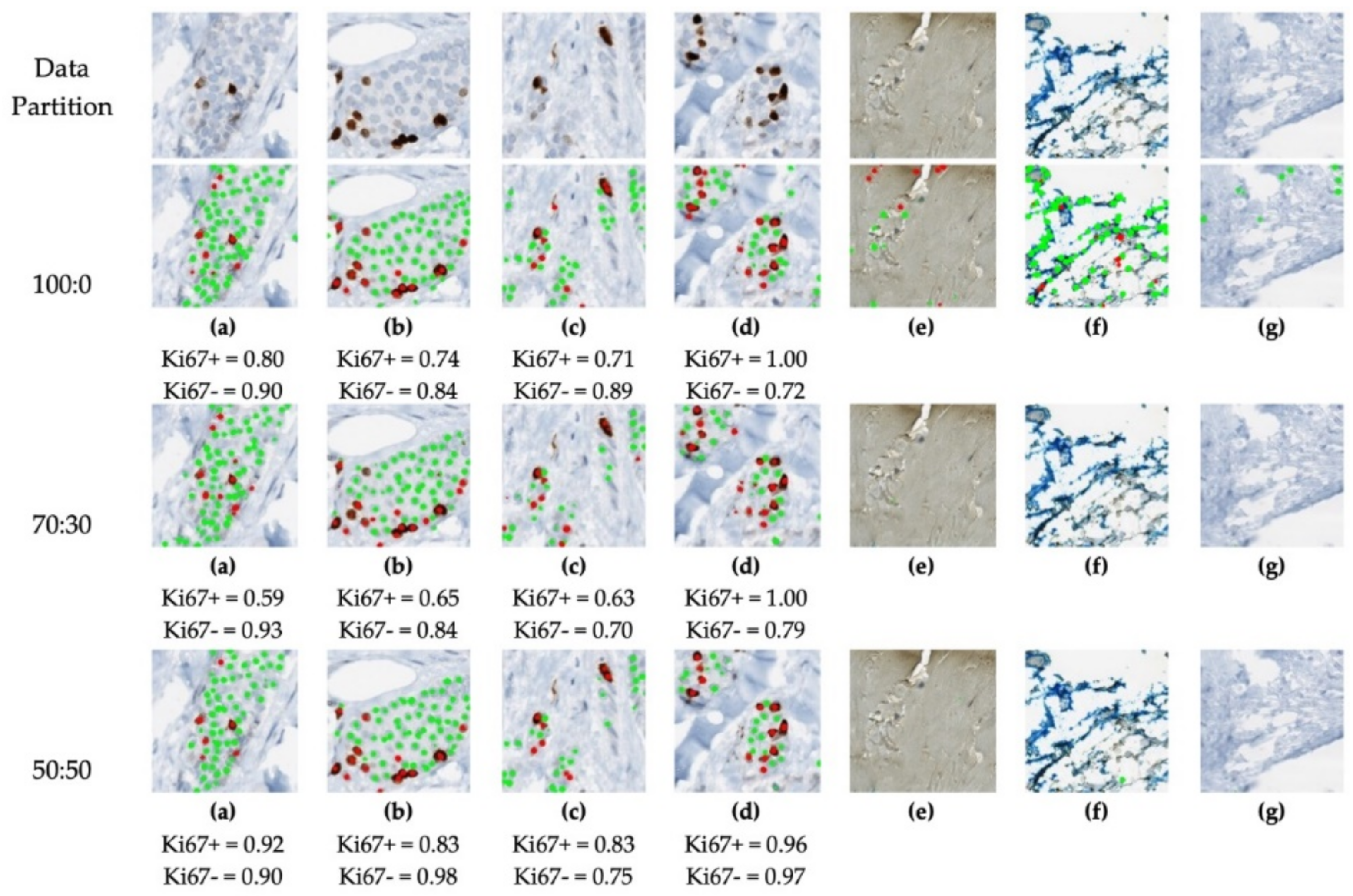 Cancers 13 00011 g011