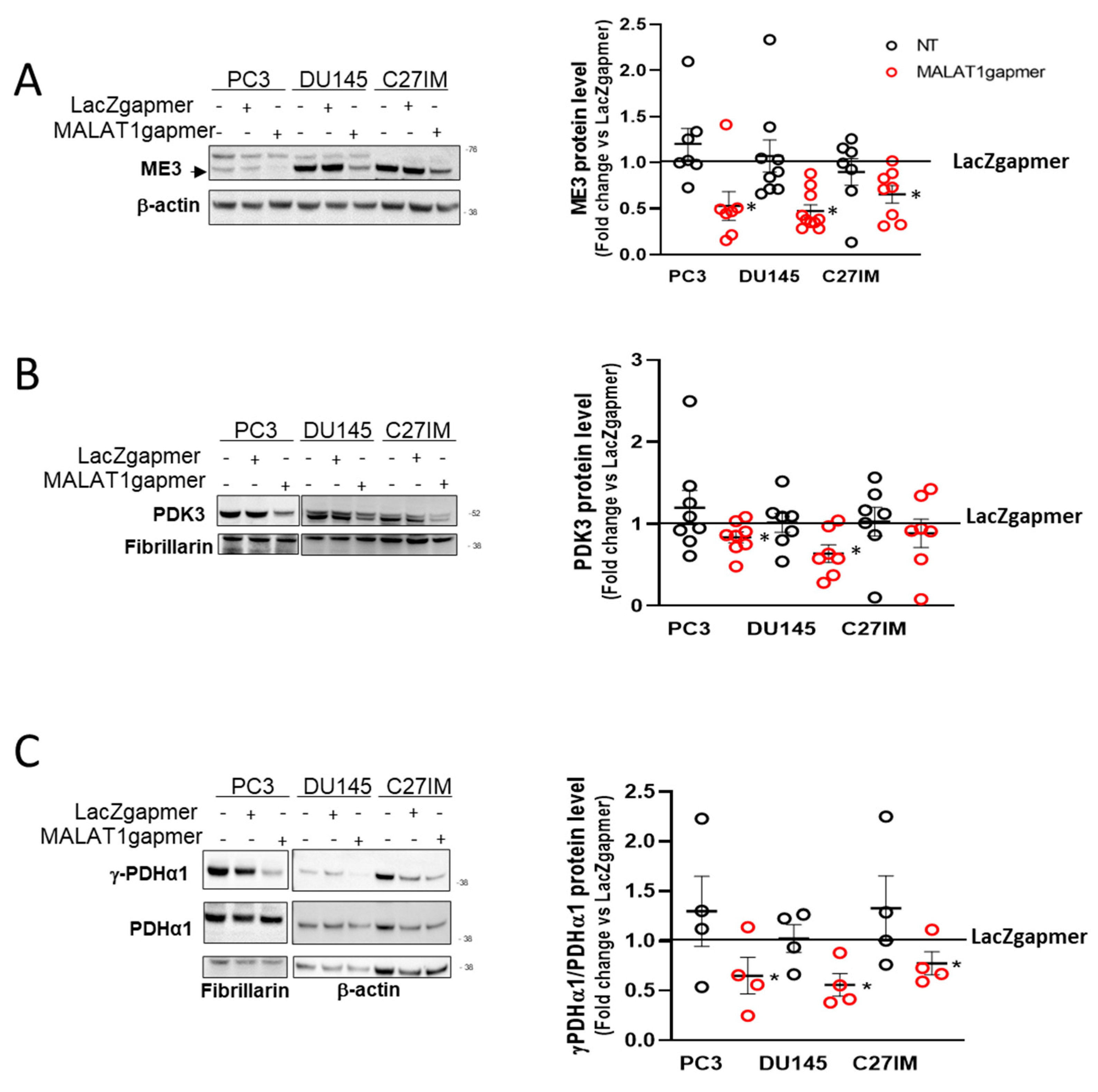 Cancers 13 00015 g005 Cancers 13 00015 g005