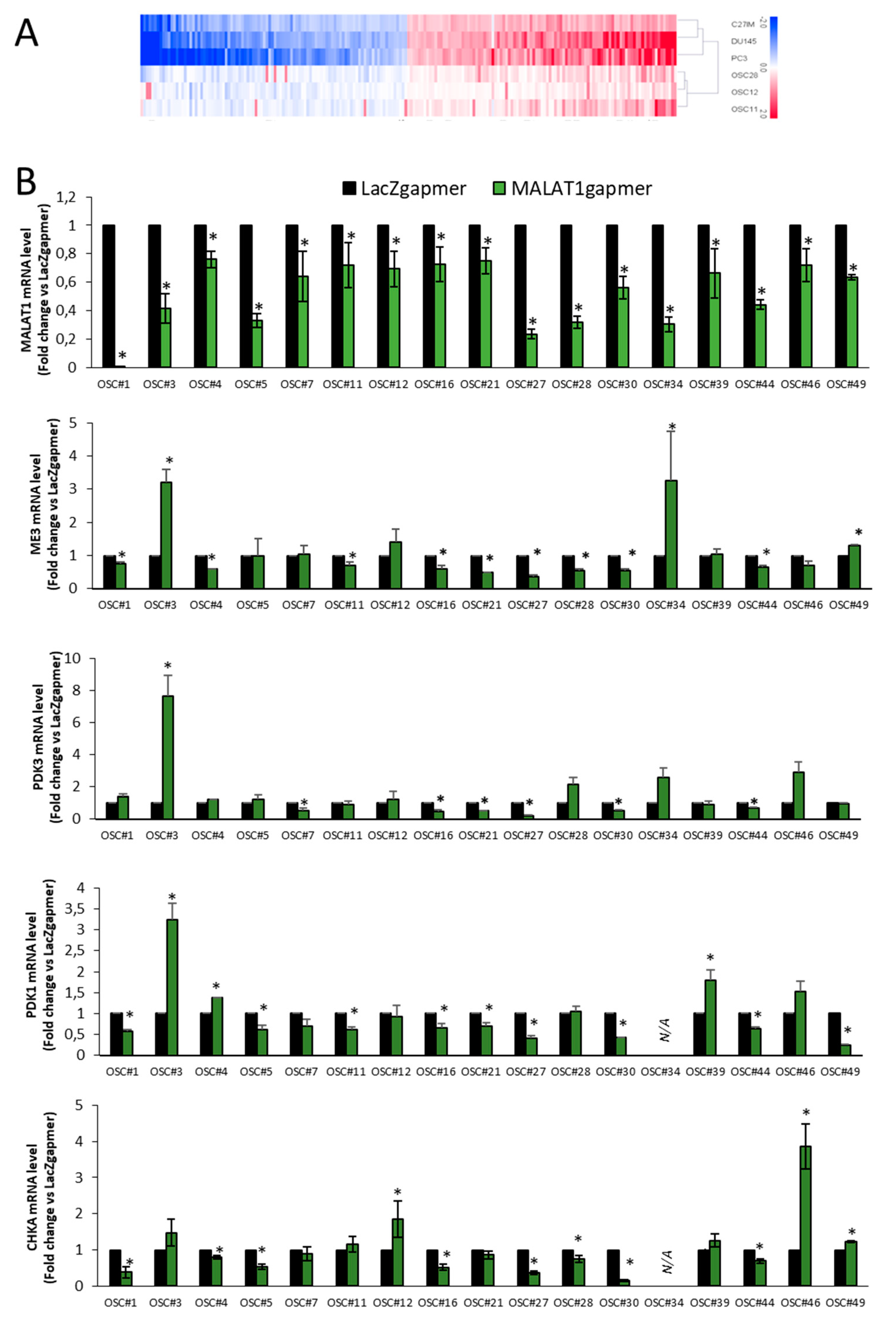 Cancers 13 00015 g009 Cancers 13 00015 g009
