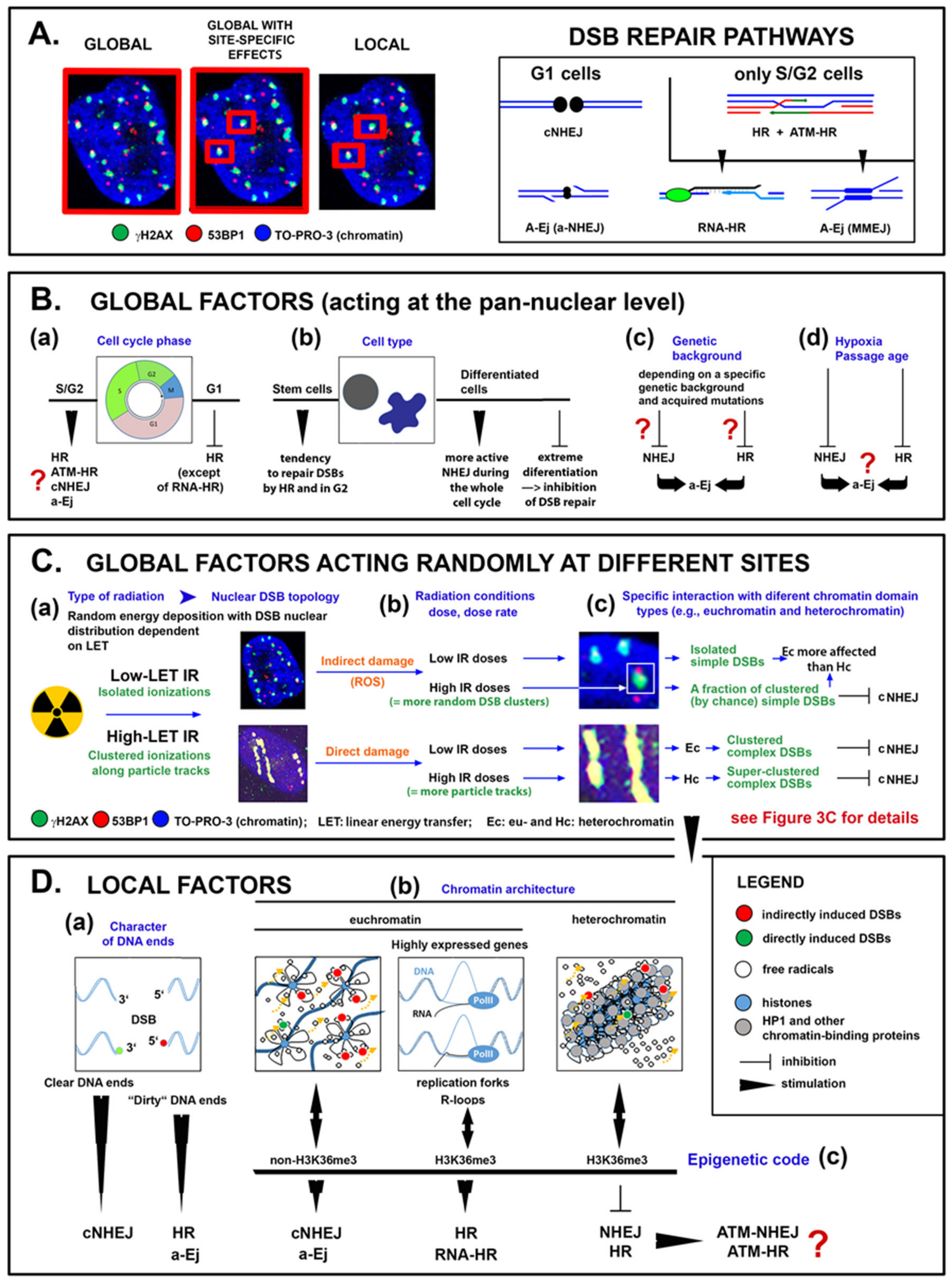 Cancers 13 00018 g001 Cancers 13 00018 g001