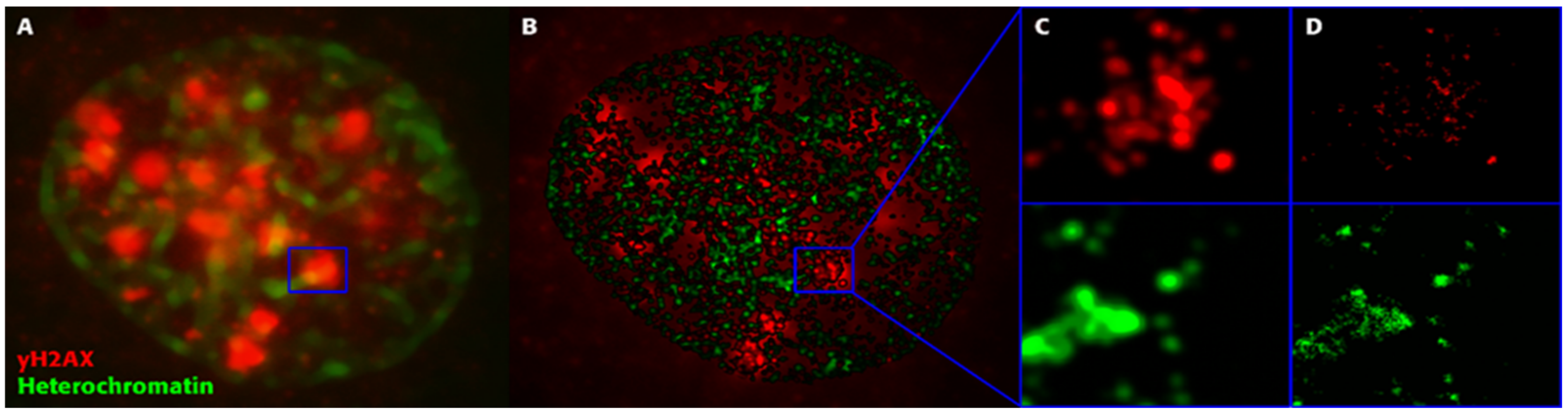 Cancers 13 00018 g006 Cancers 13 00018 g006