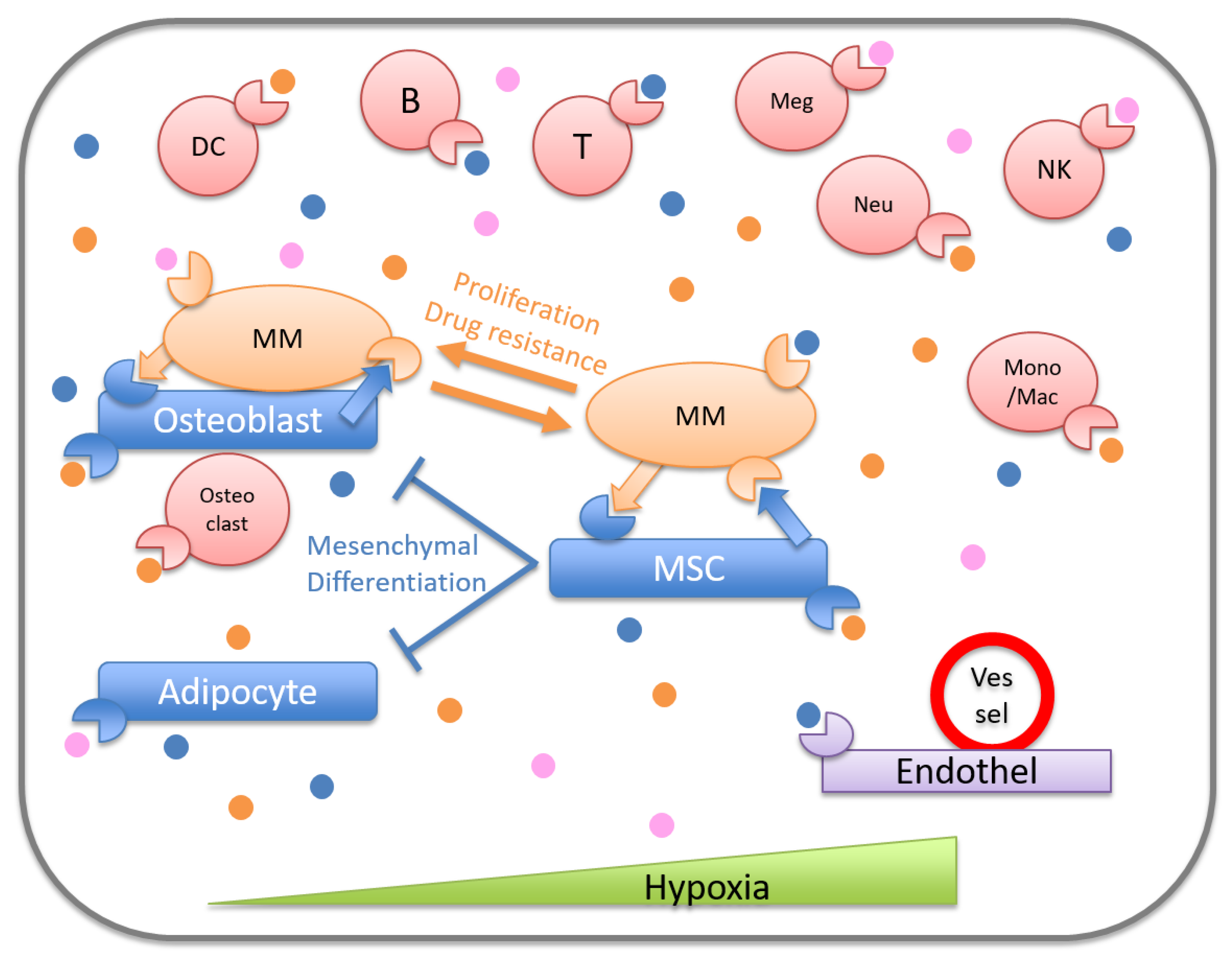 Cancers 13 00025 g001 Cancers 13 00025 g001