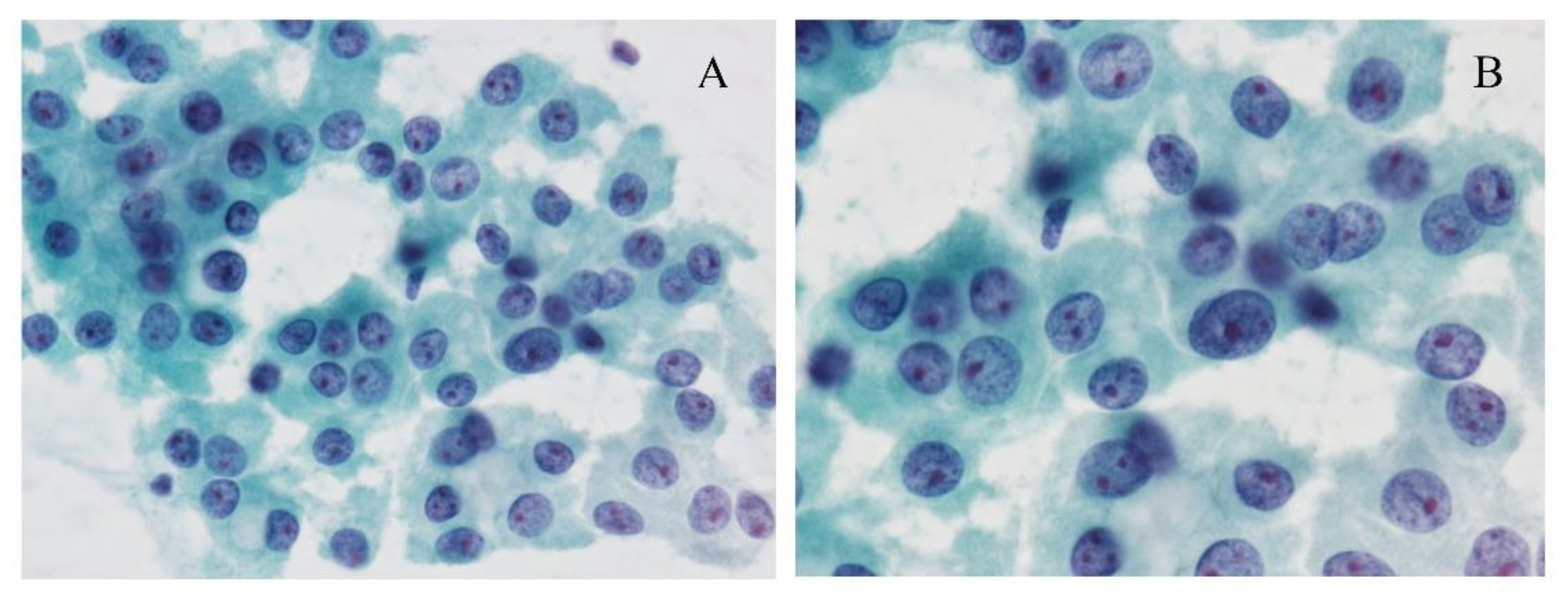 Cancers 13 00026 g001 Cancers 13 00026 g001