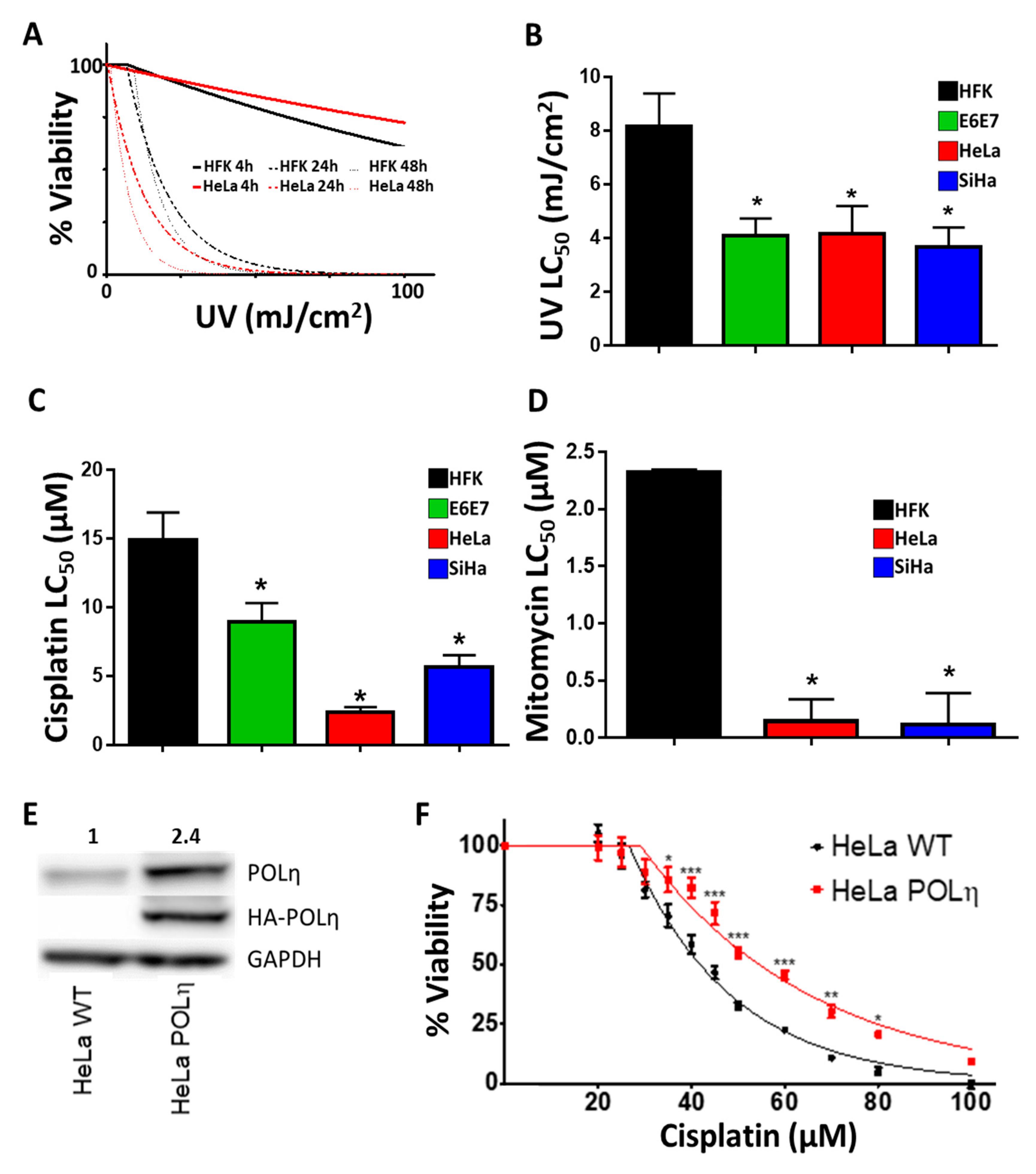 Cancers 13 00028 g008 Cancers 13 00028 g008
