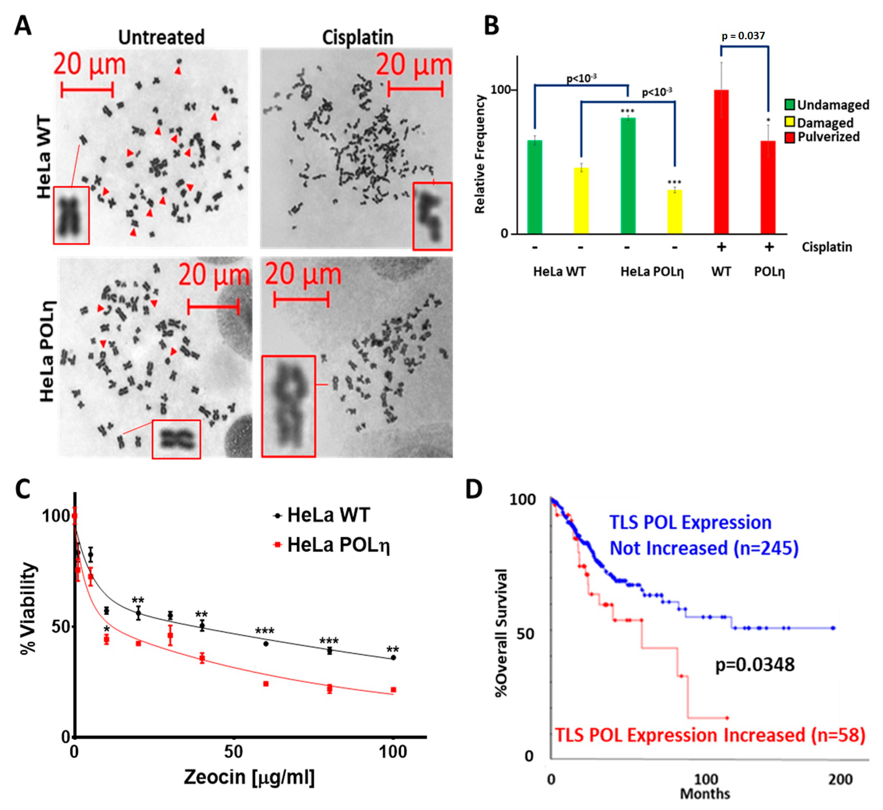 Cancers 13 00028 g009 Cancers 13 00028 g009