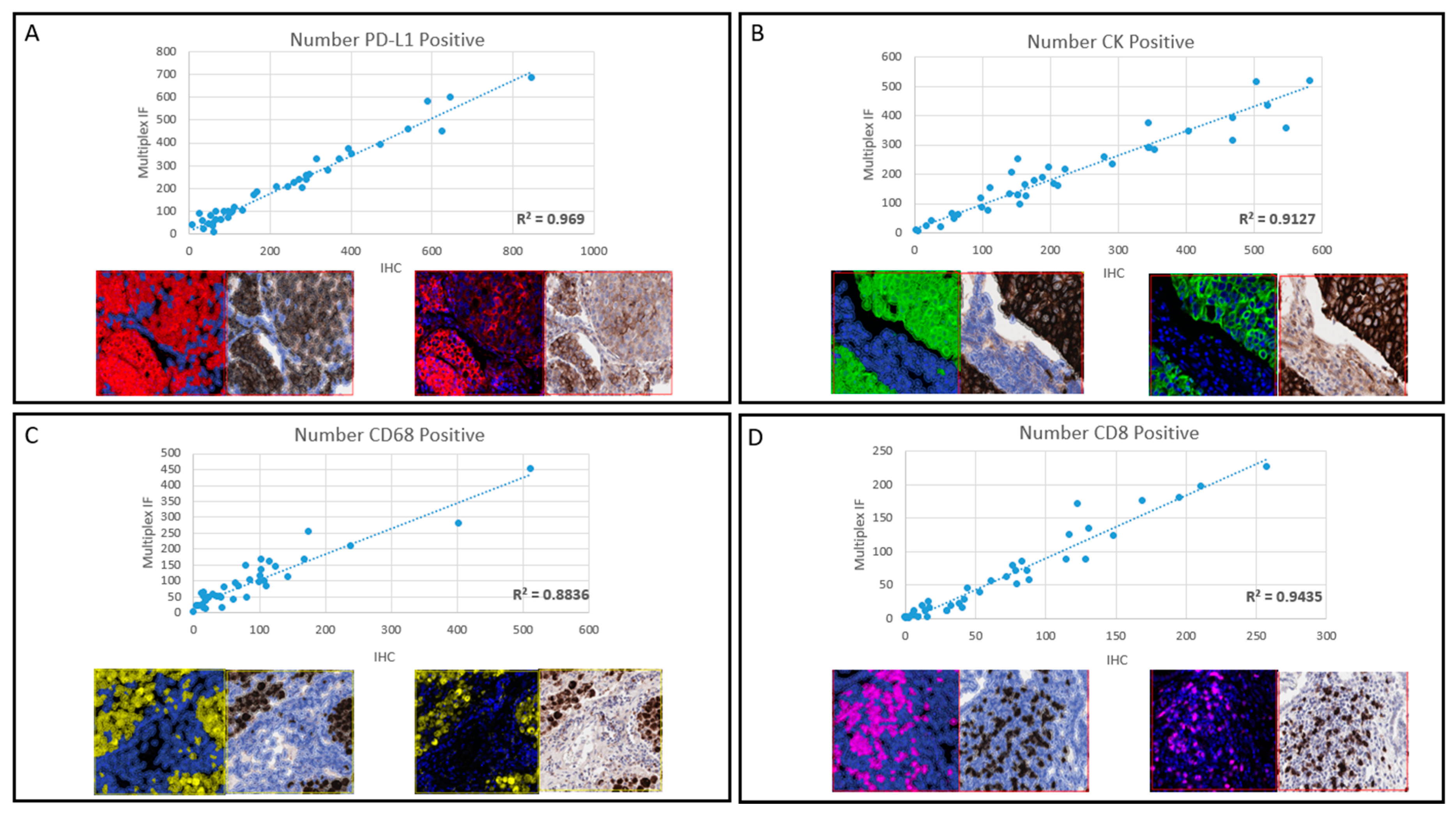 Cancers 13 00029 g002 Cancers 13 00029 g002