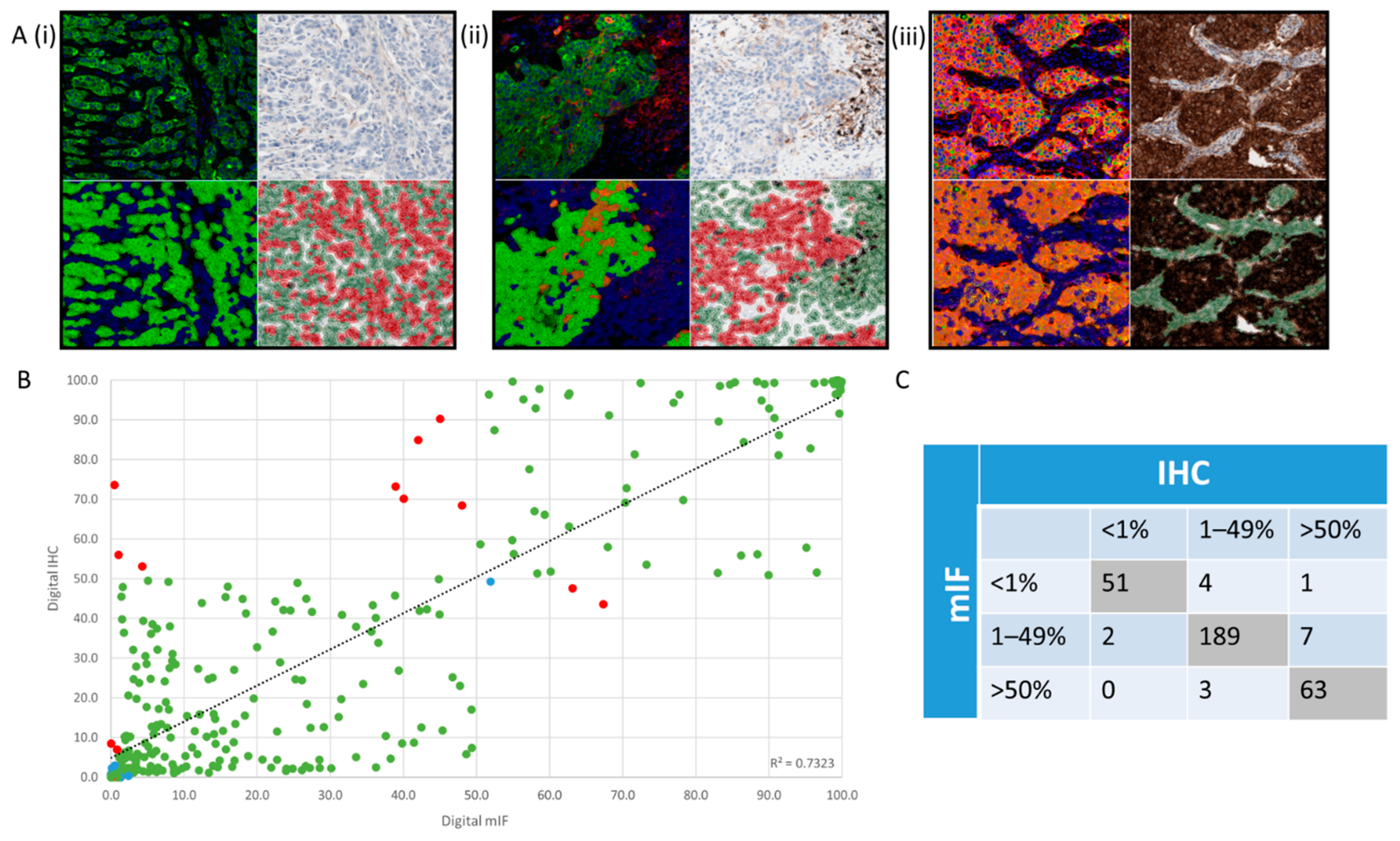 Cancers 13 00029 g004 Cancers 13 00029 g004