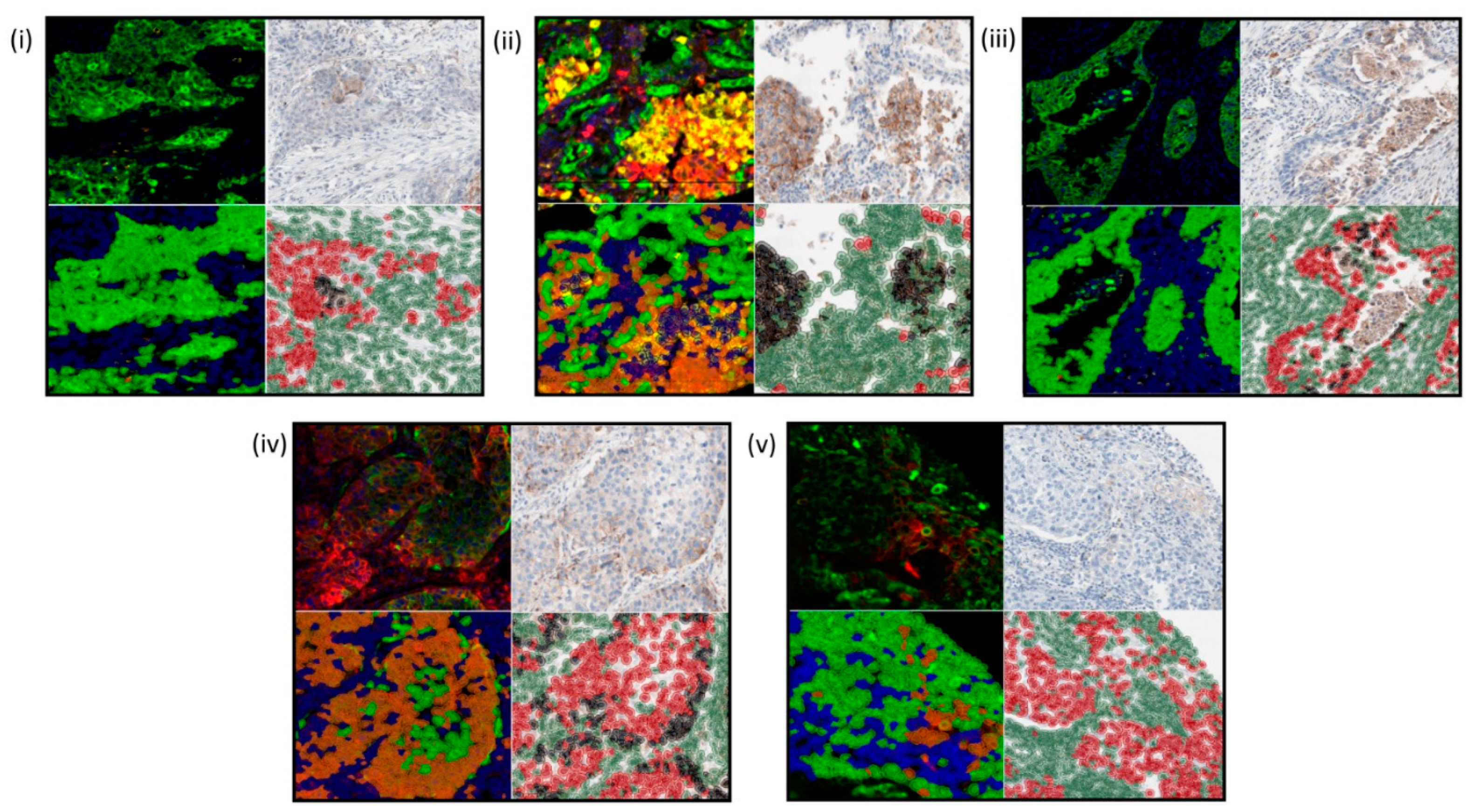 Cancers 13 00029 g005 Cancers 13 00029 g005