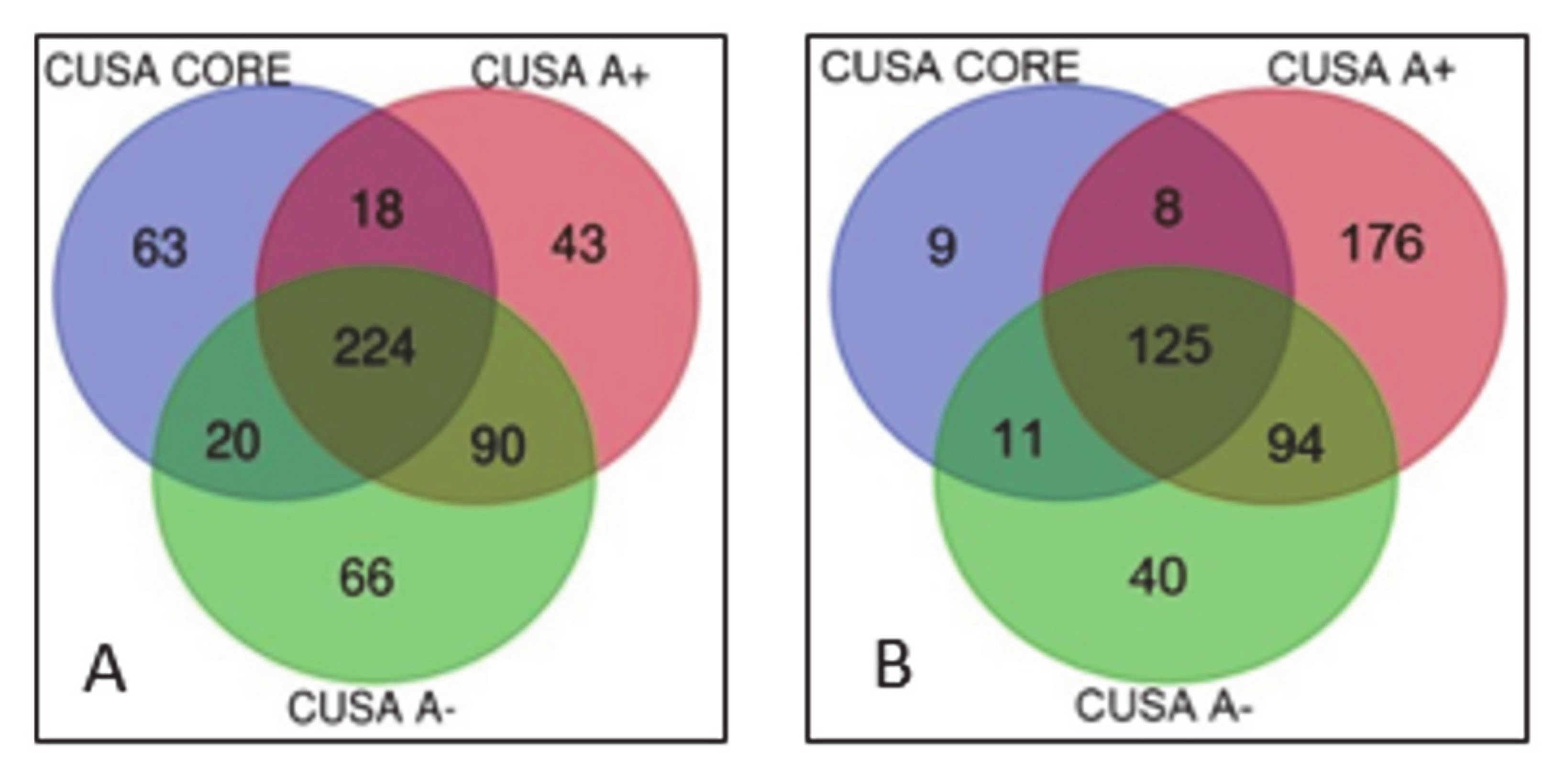 Cancers 13 00030 g001 Cancers 13 00030 g001