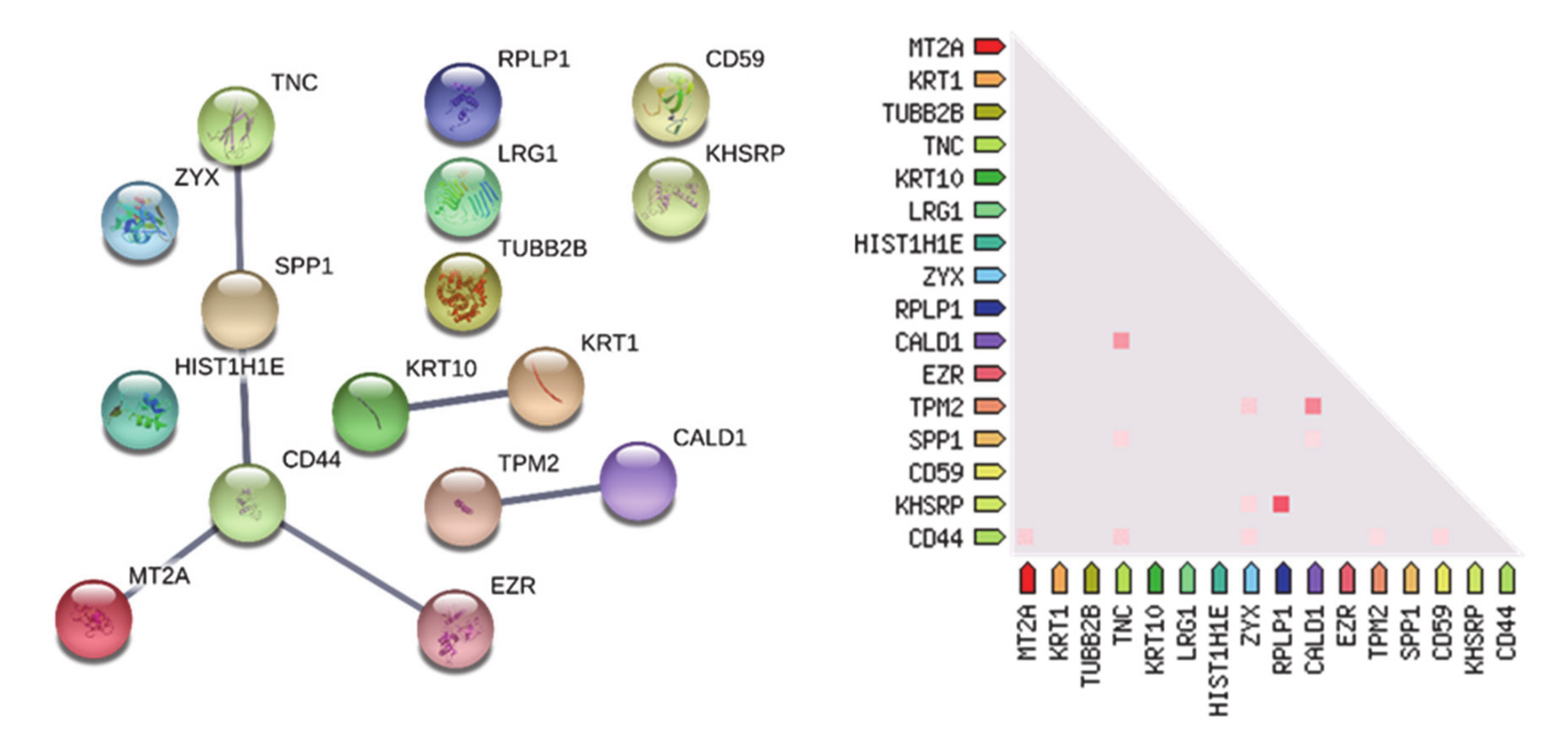Cancers 13 00030 g005 Cancers 13 00030 g005