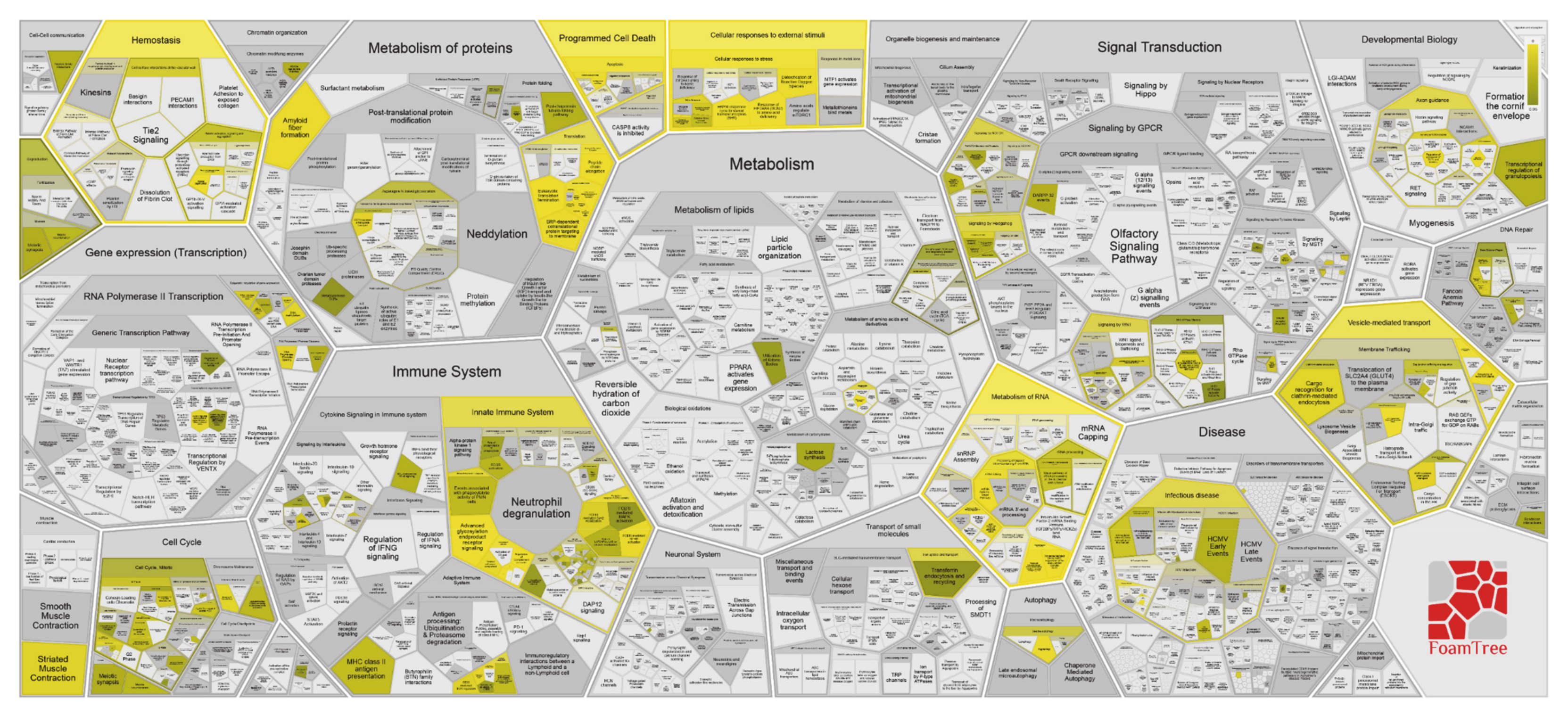 Cancers 13 00030 g010 Cancers 13 00030 g010