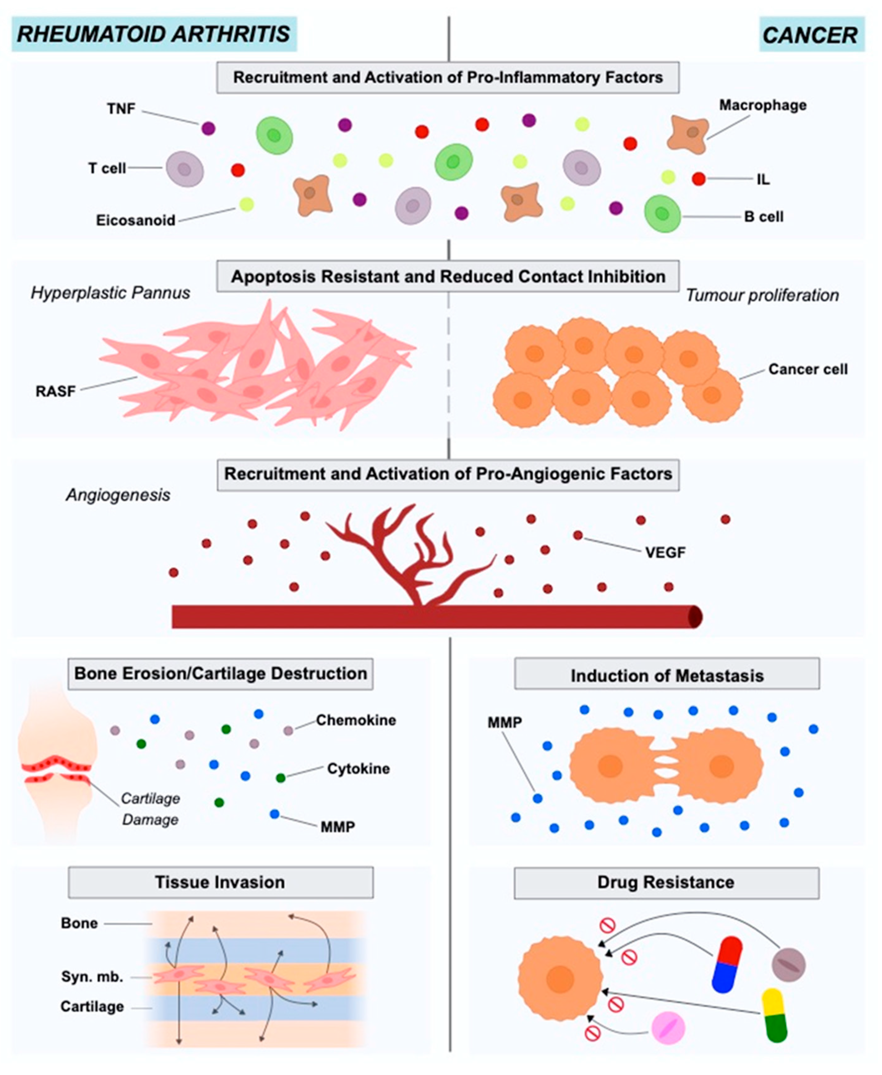 Cancers 13 00035 g001 Cancers 13 00035 g001