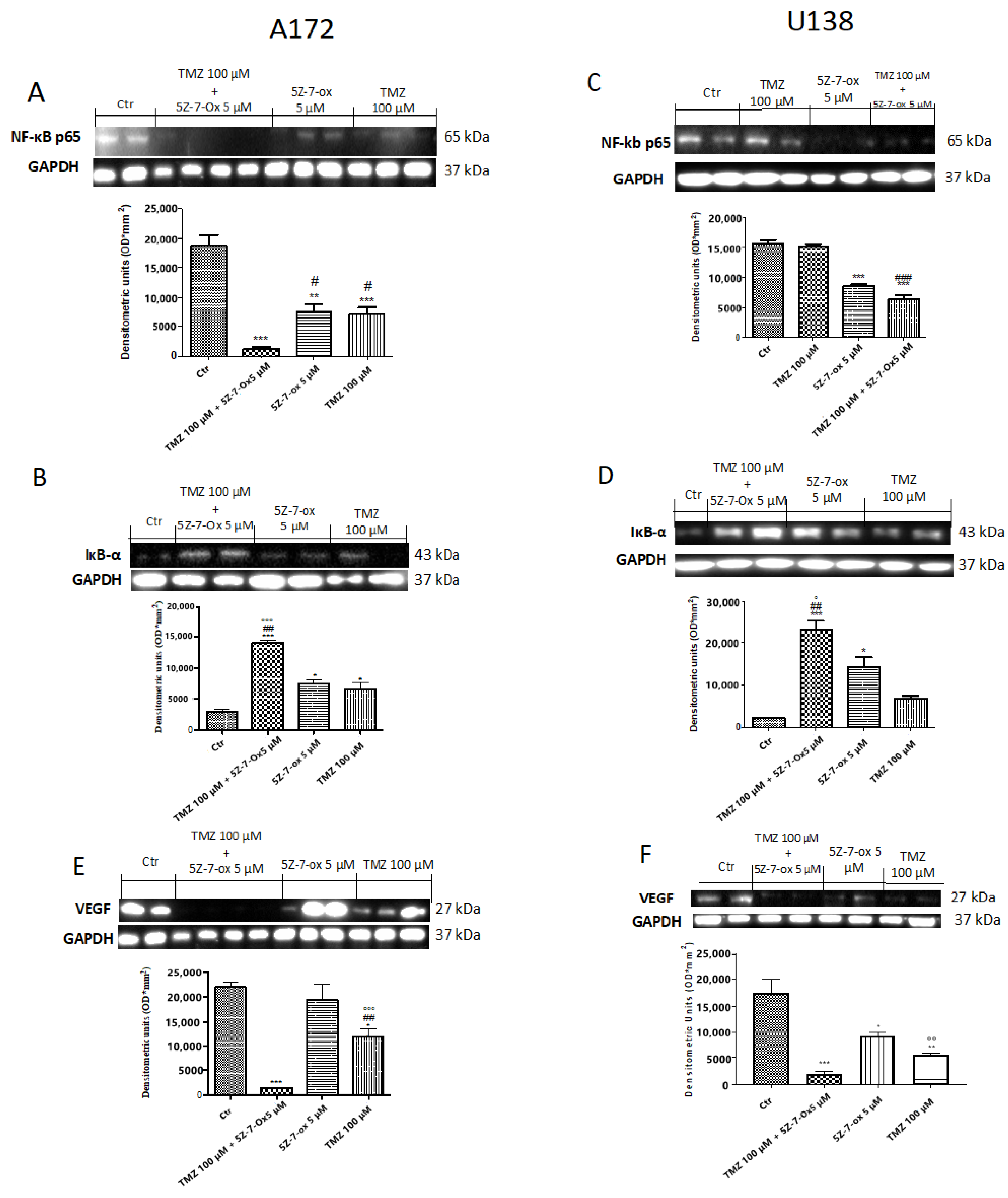 Cancers 13 00041 g005 Cancers 13 00041 g005